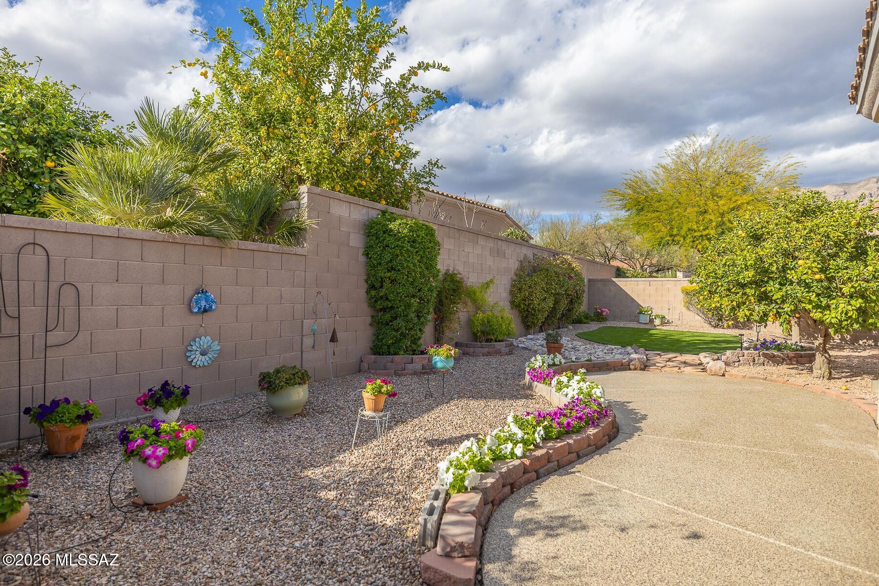 Village 1 At the Villages of La Paloma - Residential