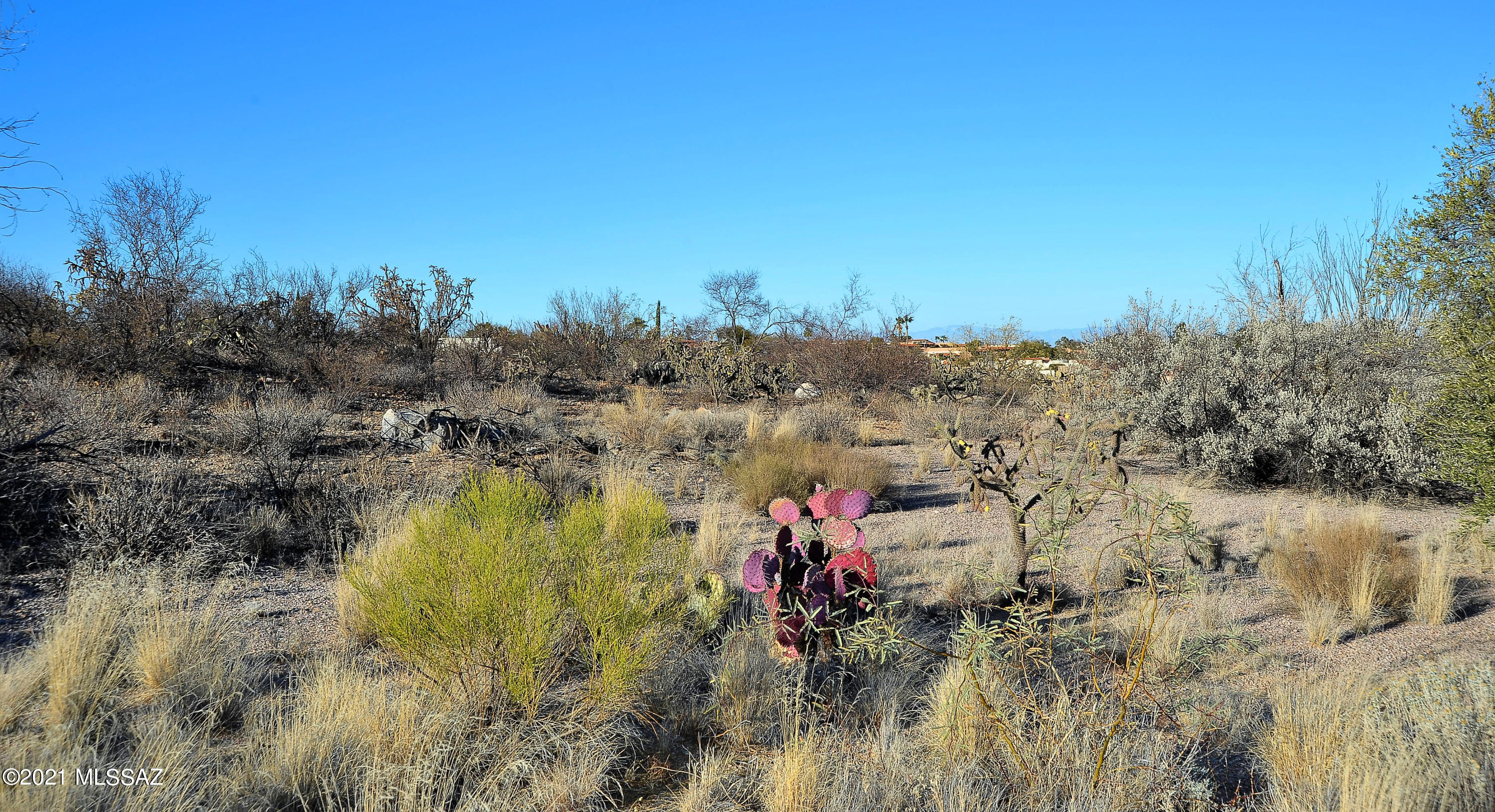 Desert Ridge Estates Resub - Land