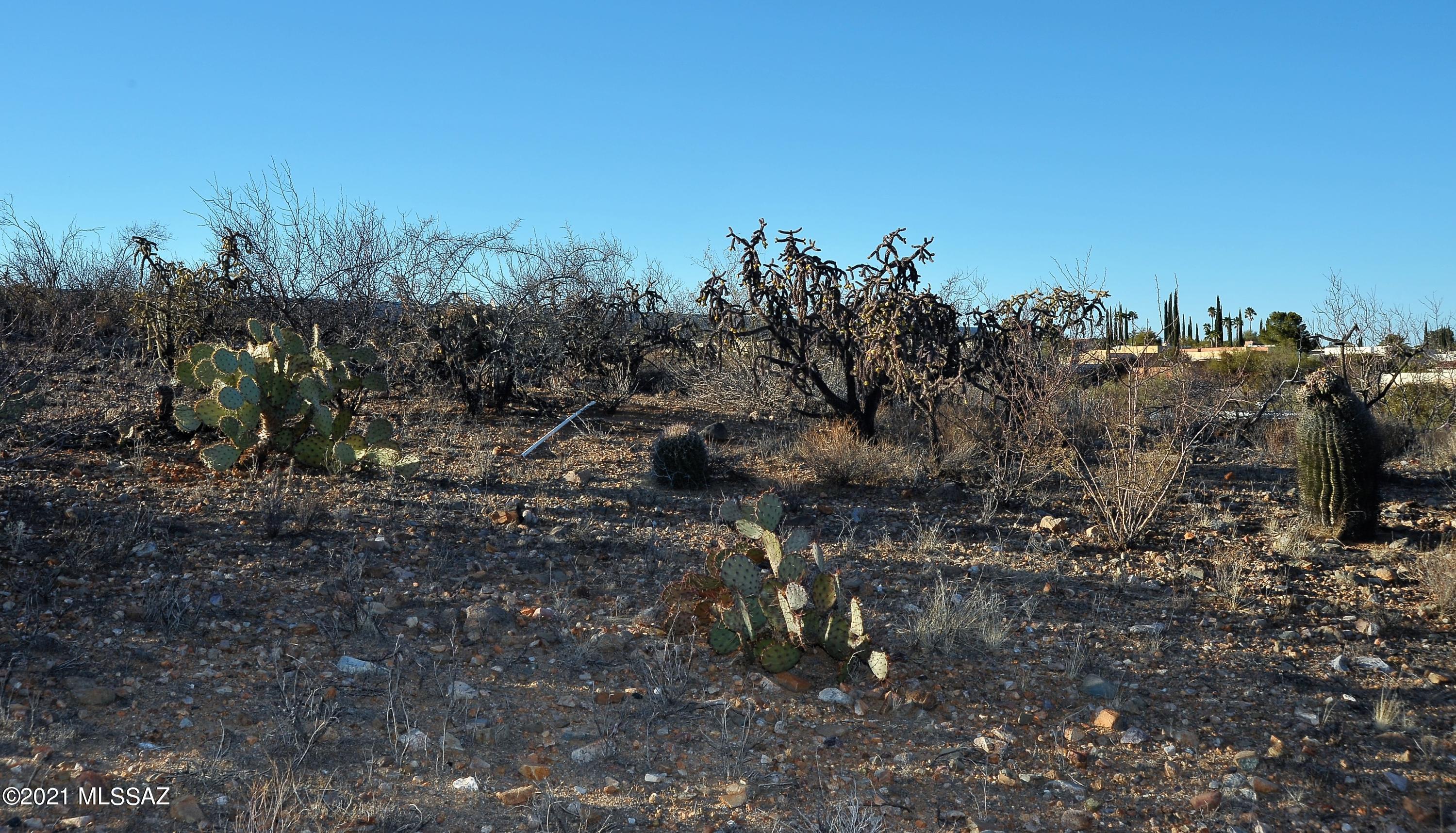 Desert Ridge Estates Resub - Land