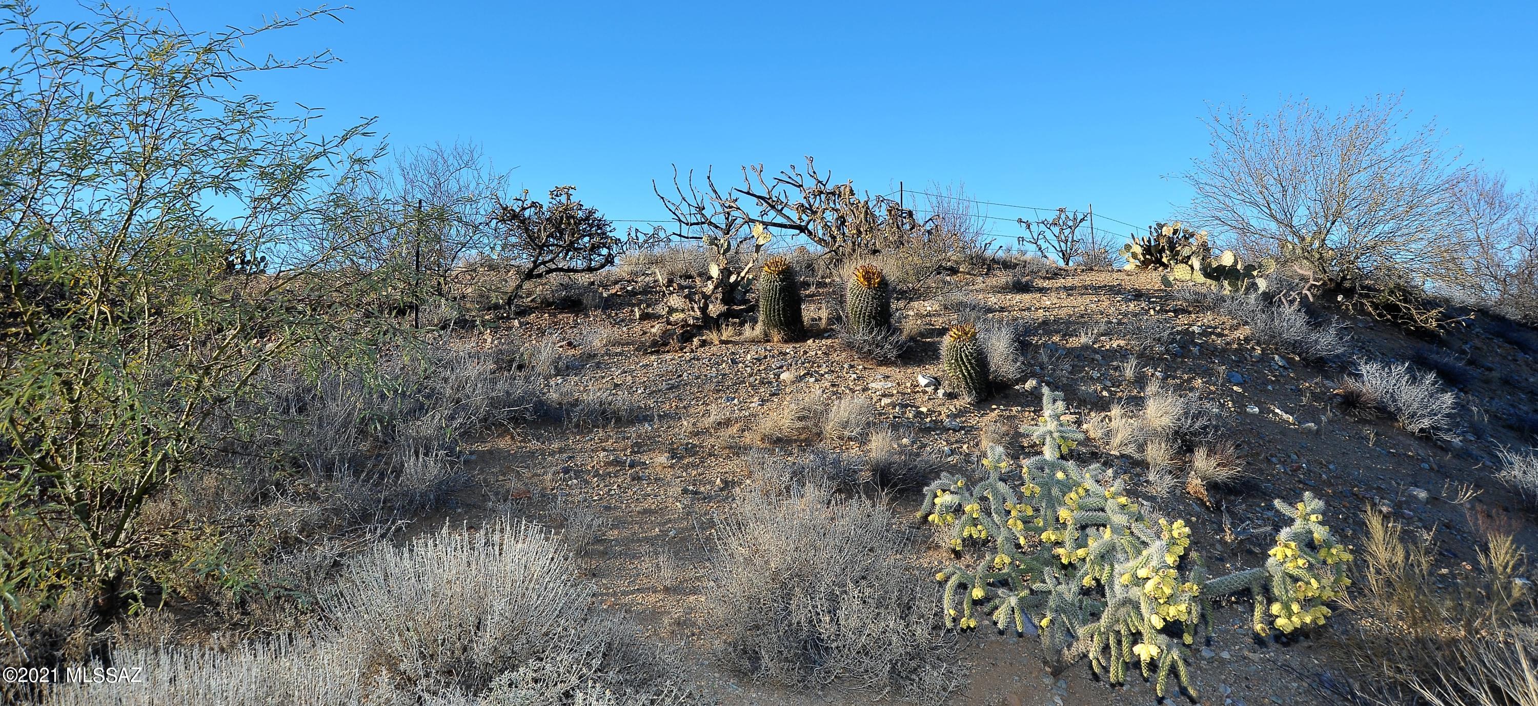 Desert Ridge Estates Resub - Land