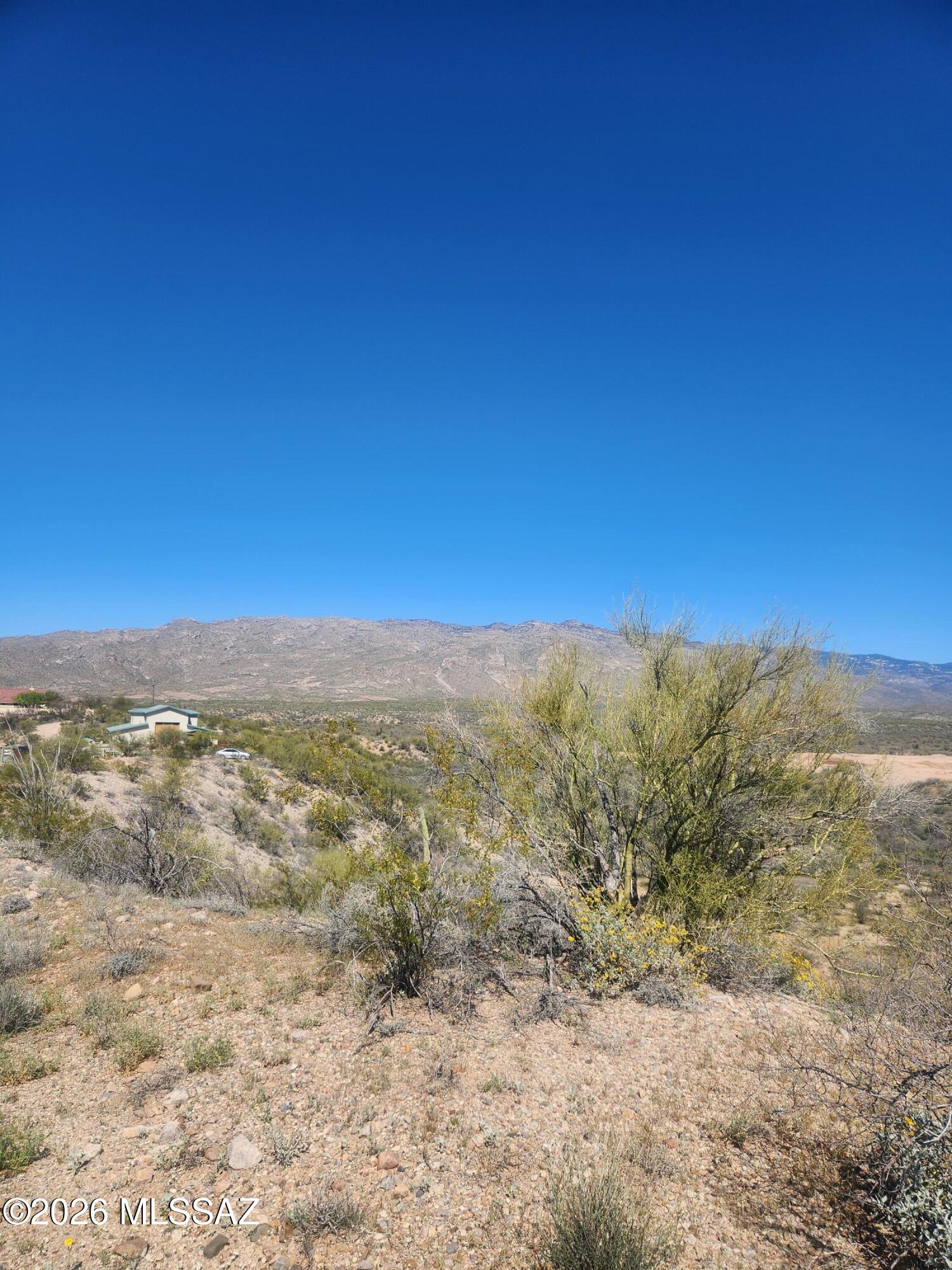 TBD S Ave Del Potrillo