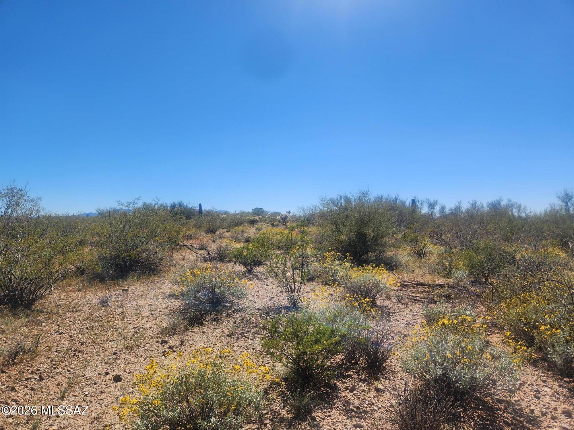 TBD S Ave Del Potrillo