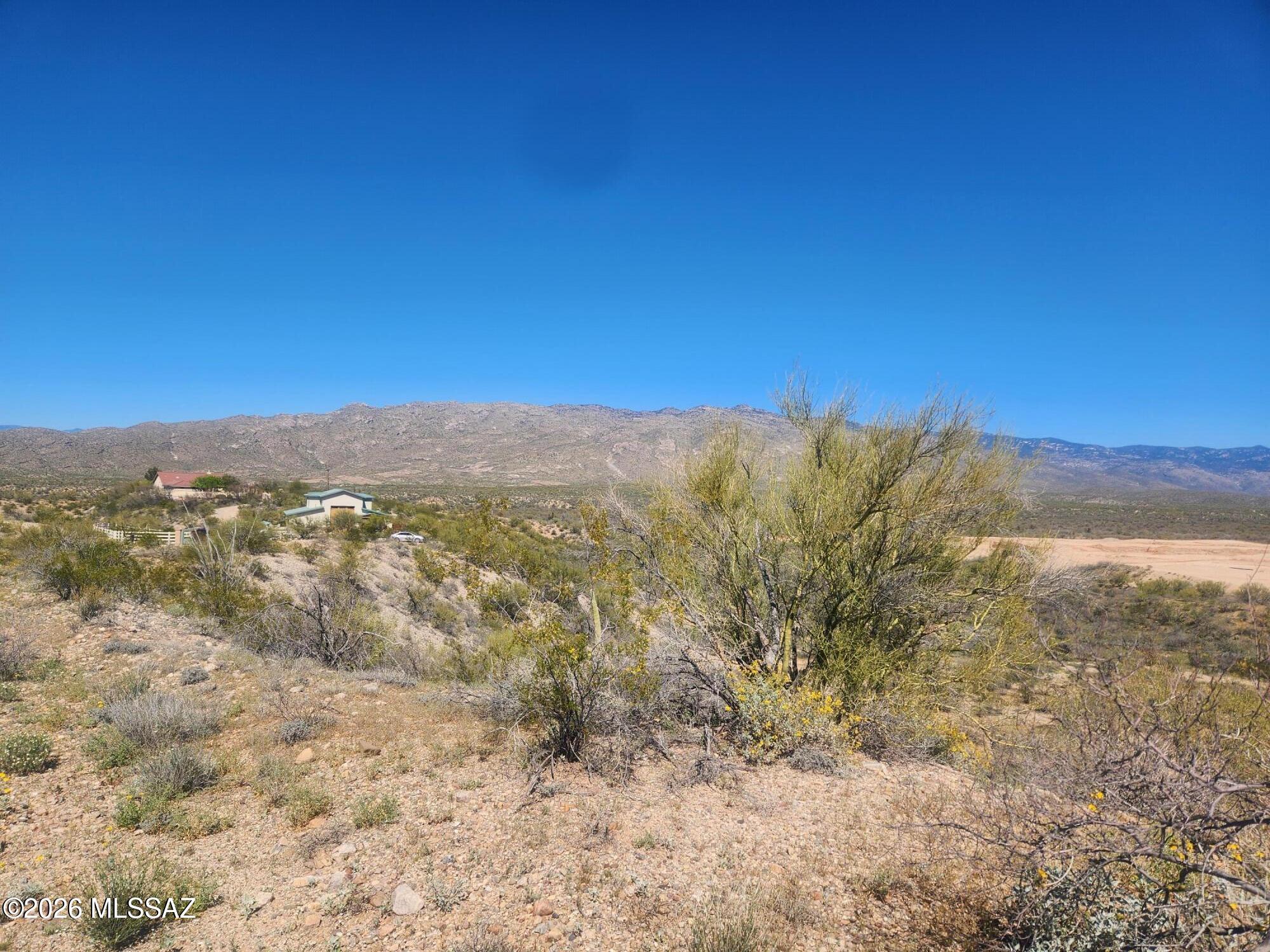 TBD S Ave Del Potrillo