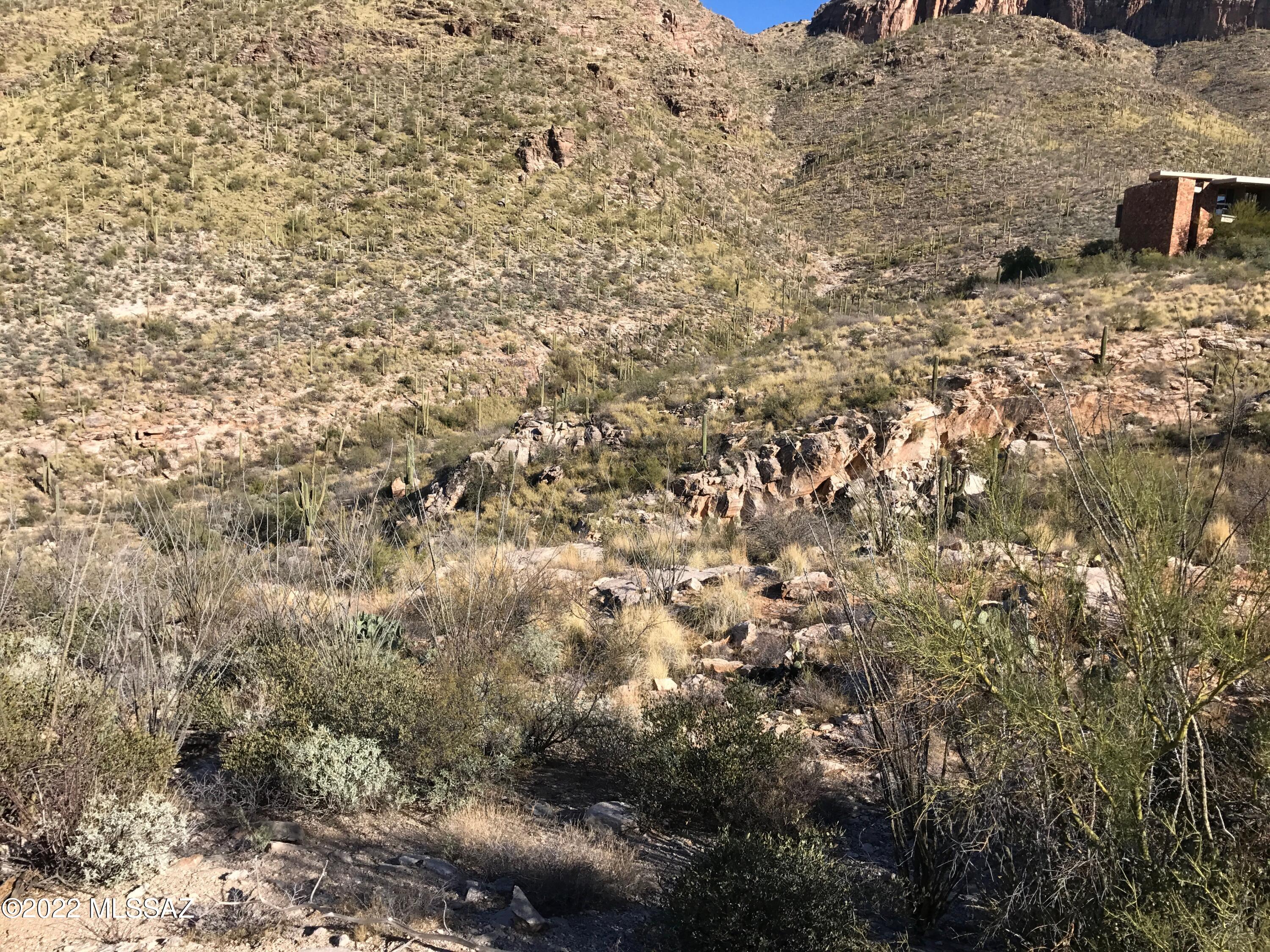 Catalina Ridge Estates(37-62) - Land