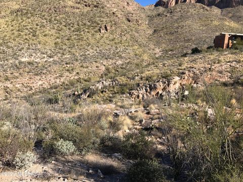 7490 N Catalina Ridge Drive 56 Tucson AZ 85718