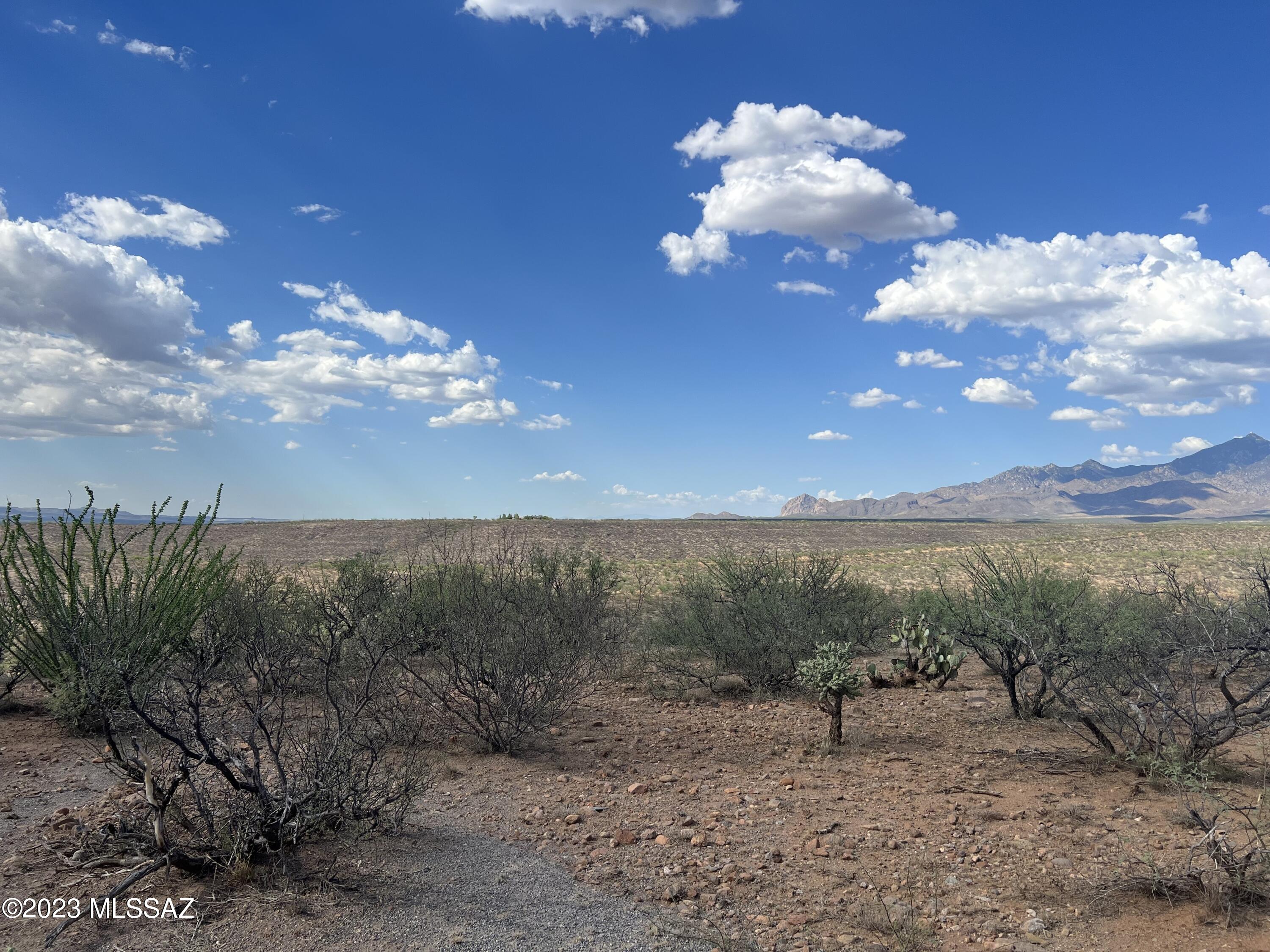 Tubac Foothills Ranch - Land