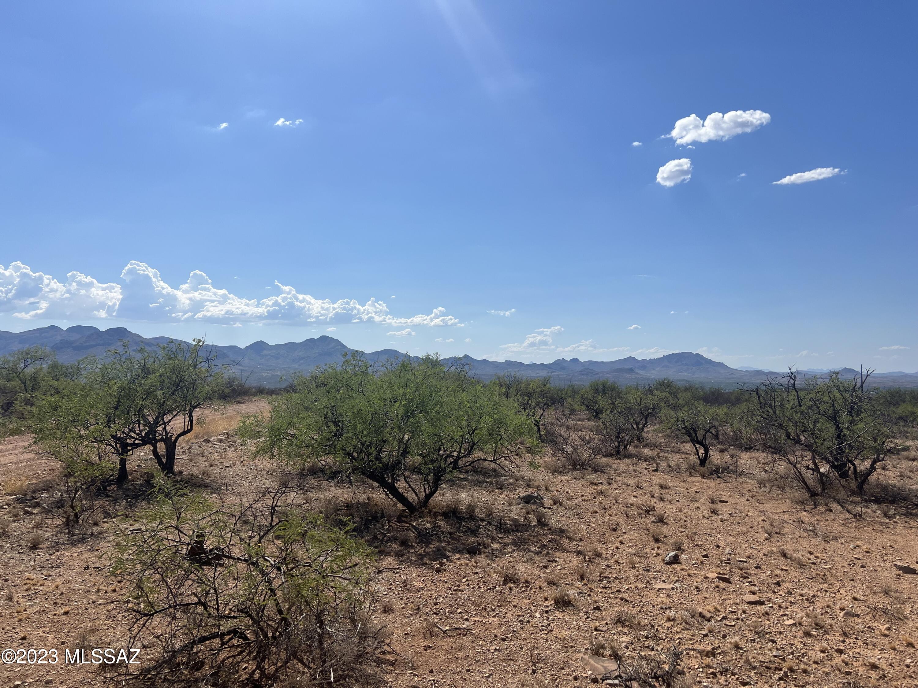 TBD Camino Murphy 026