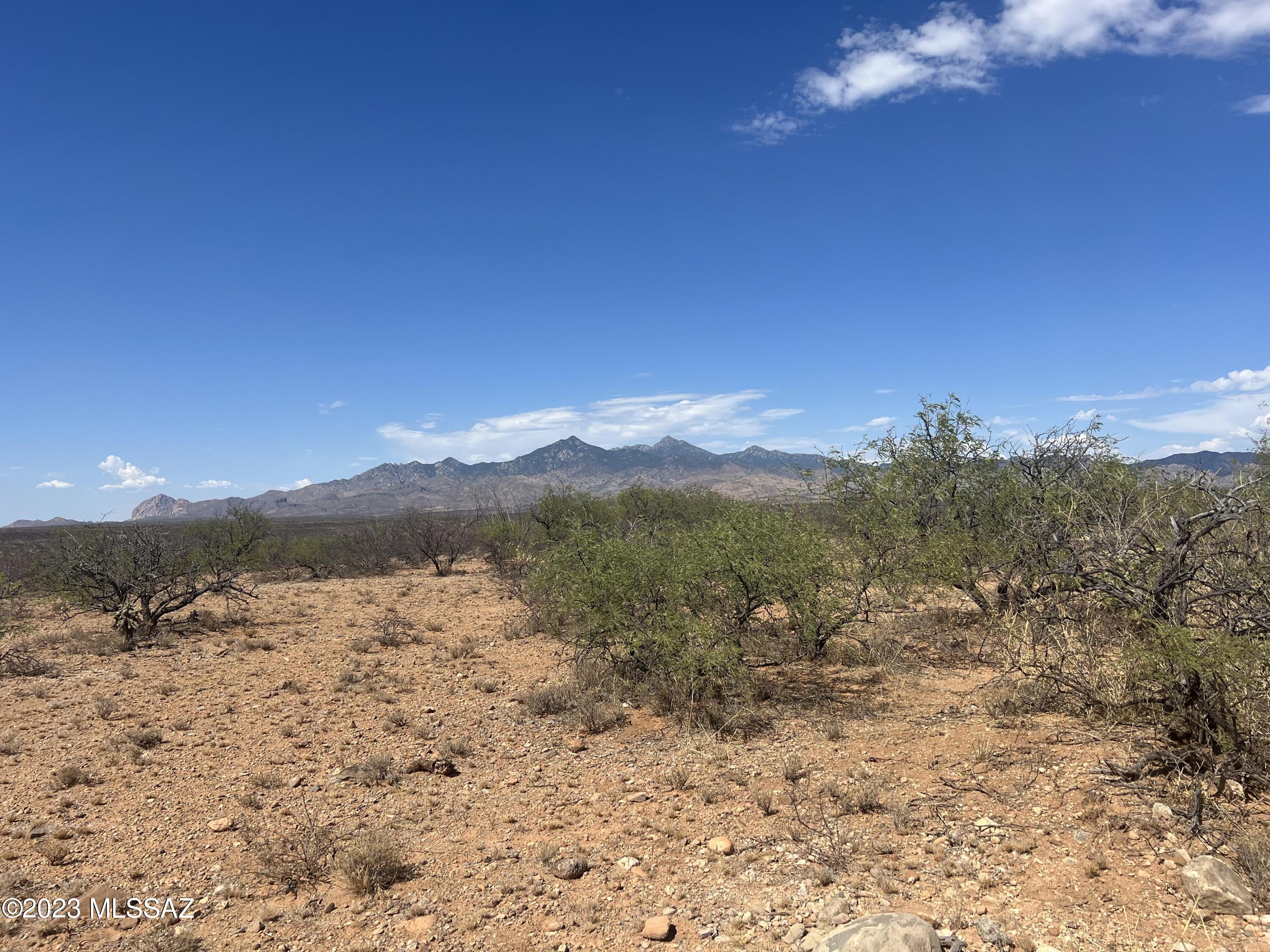 TBD Camino Murphy 026