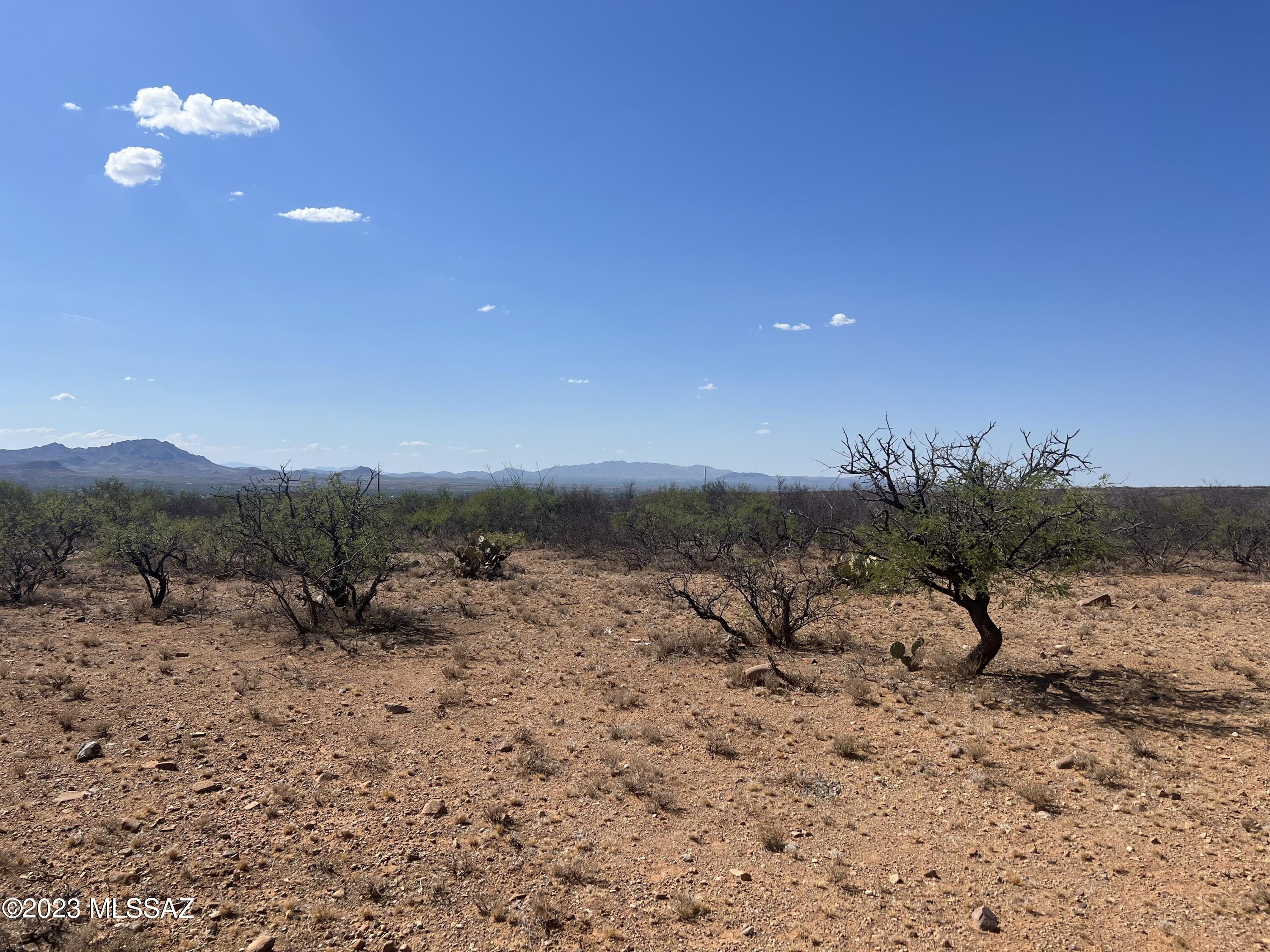 TBD Camino Murphy 026