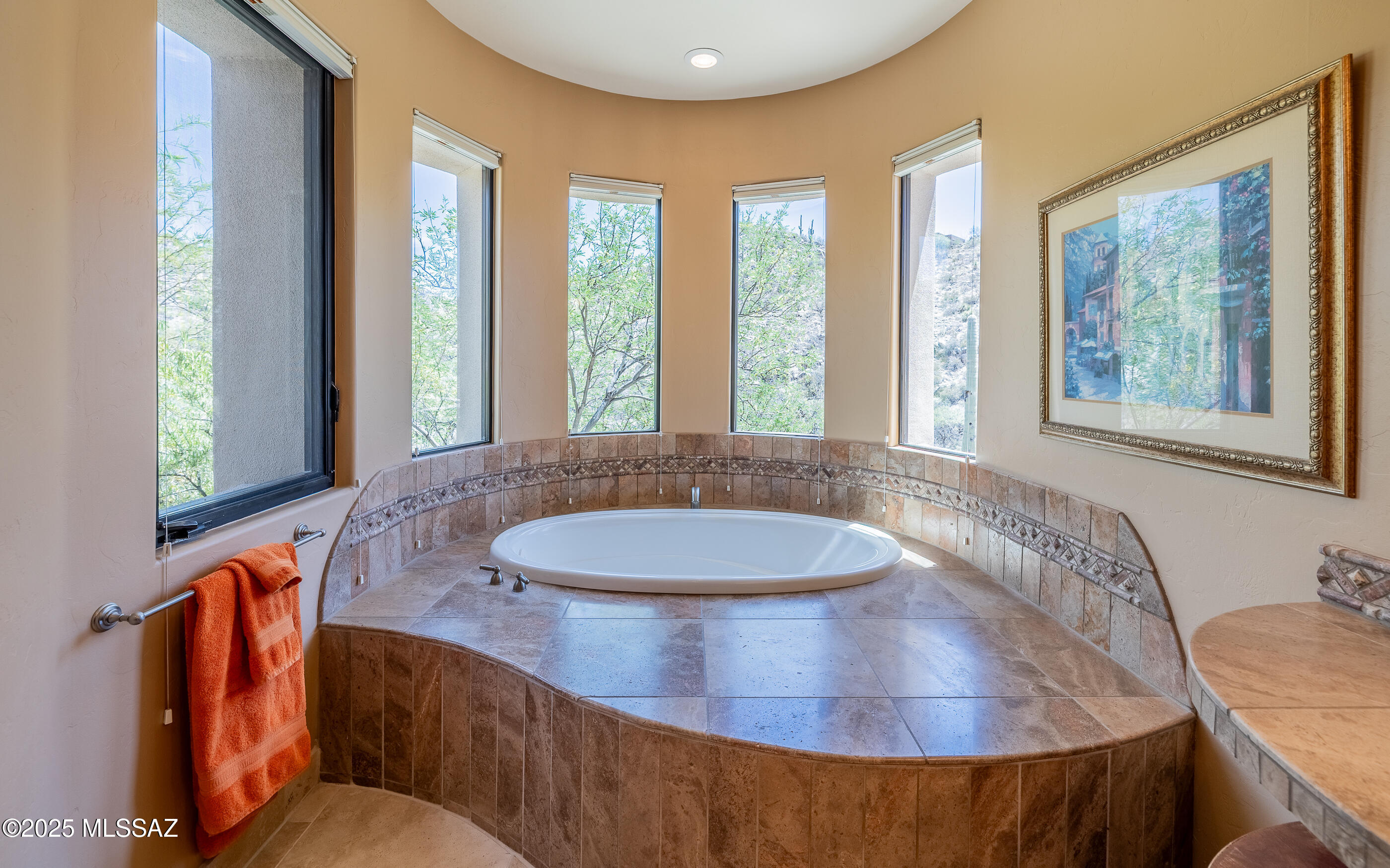 Canyon Pass At Dove Mountain - Residential