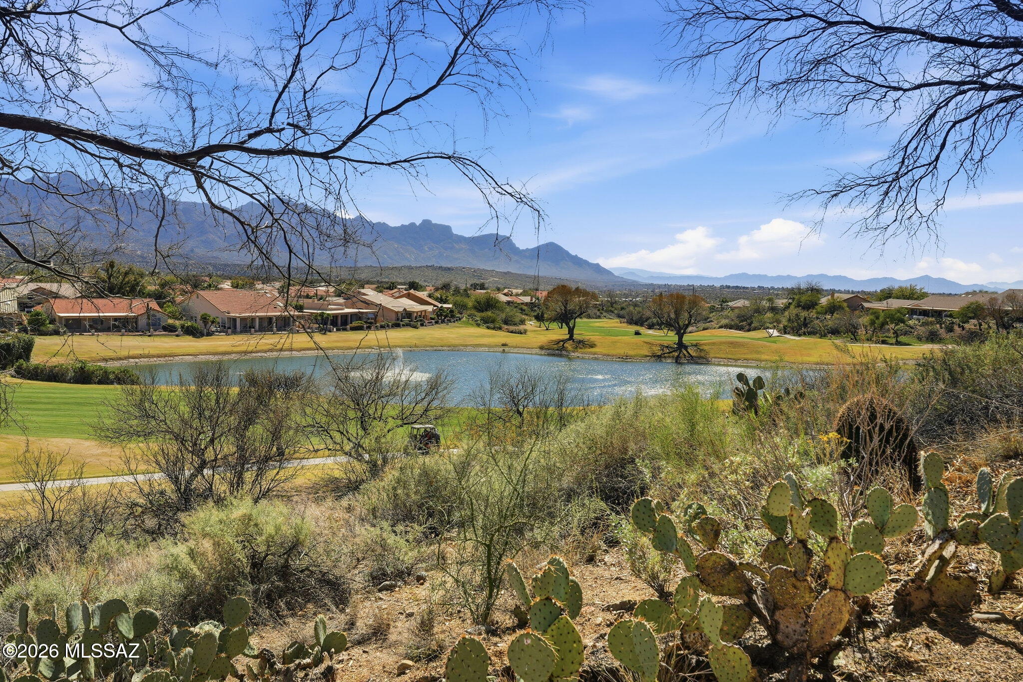 Saddlebrooke - Residential