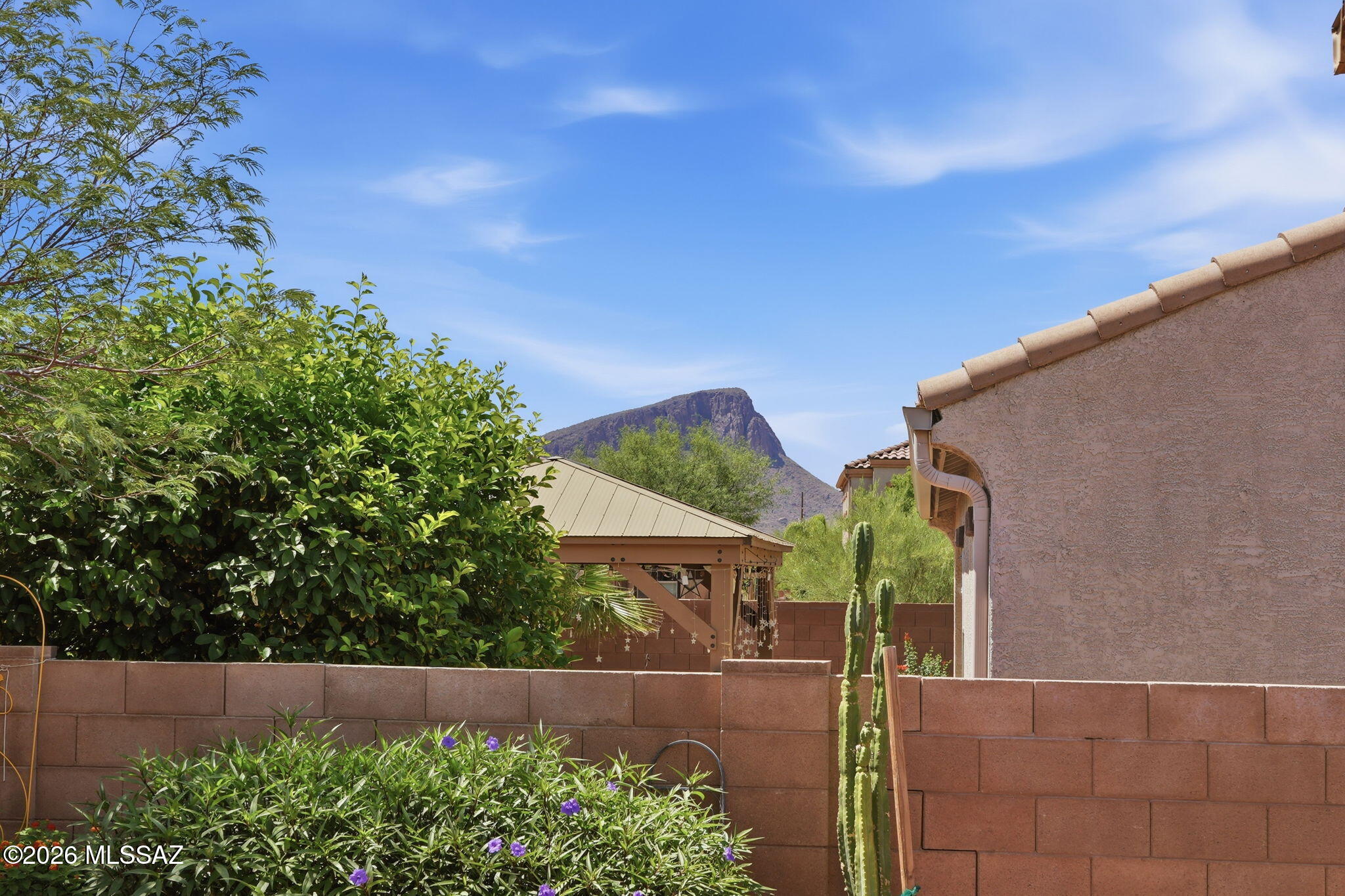 Saguaro Bloom Block 8B - Residential