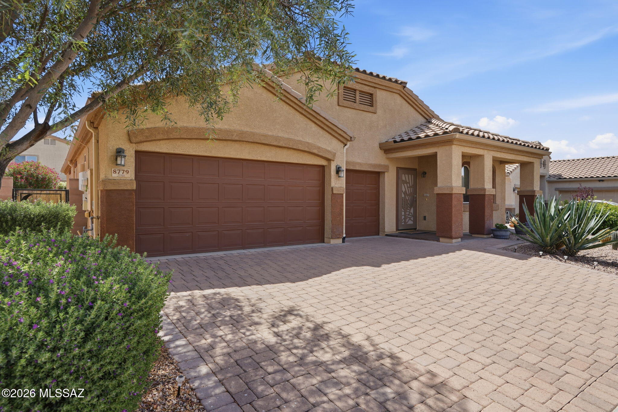 Saguaro Bloom Block 8B - Residential