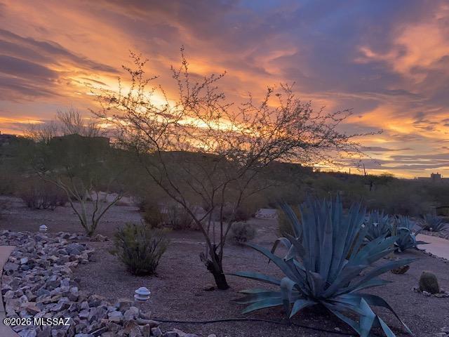 Tucson Mountain Reserve (1-124) - Residential