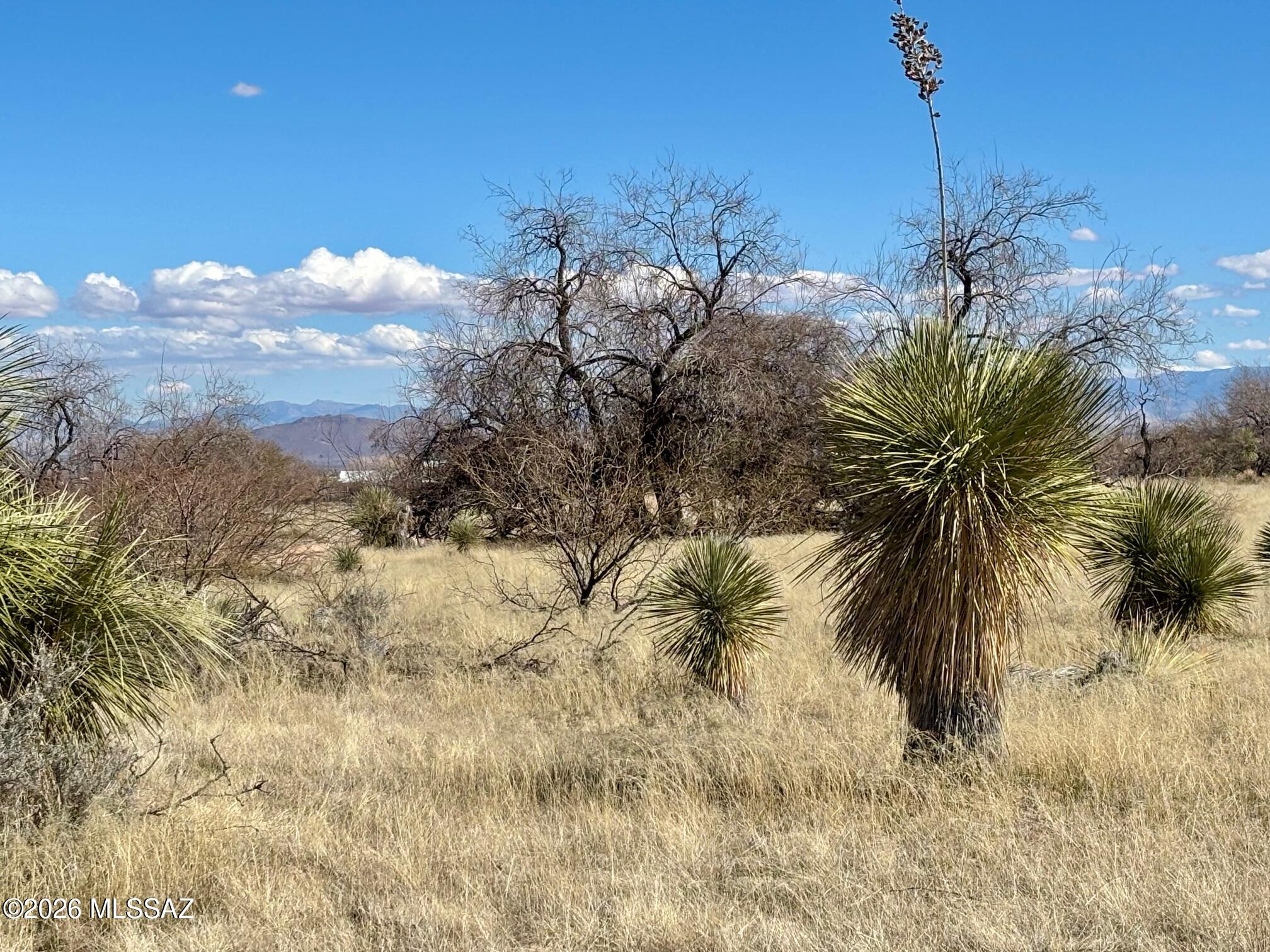 Arizona Sun Sites - Land