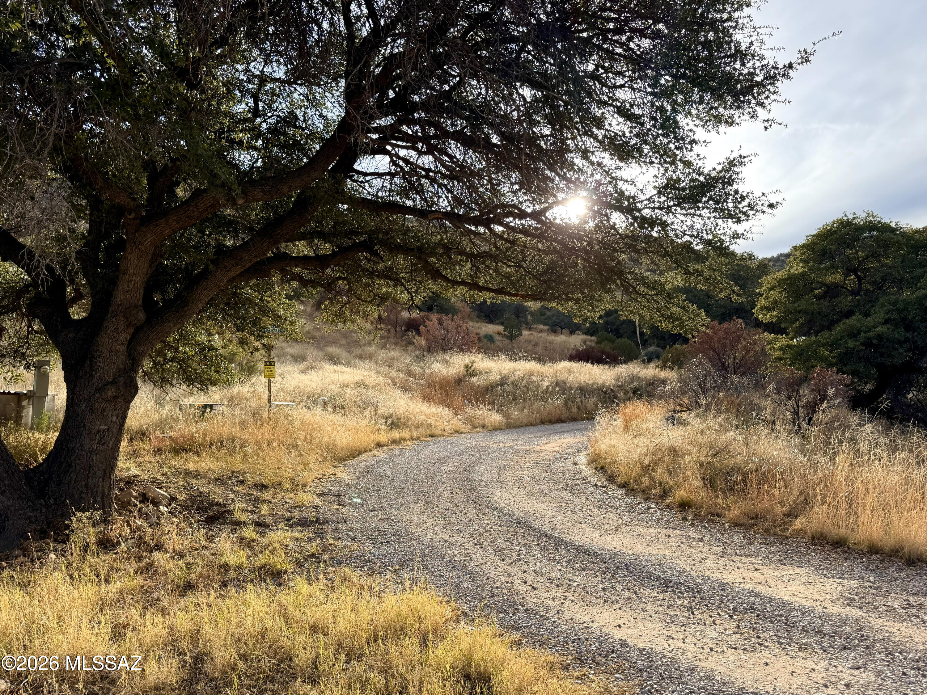 Out Of Pima County - Land
