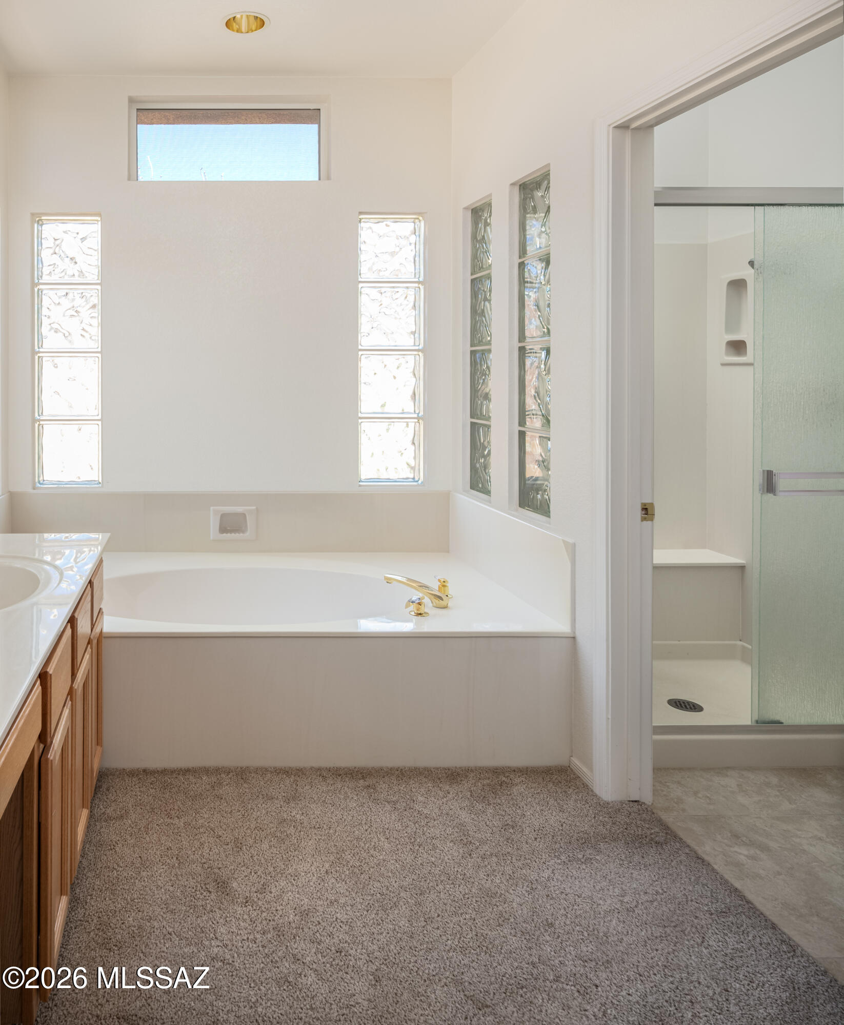 Sun City Vistoso Unit 7(1-227) - Residential
