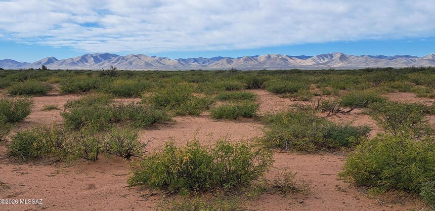 FULL legal and physical access in Tombstone Valley Ranches. Vibe there is peaceful and the mountain views exhilarating. 20 minutes to Tombstone, Bisbee and Elfrida.  3 miles as the crane flies to Whitewater draw one of the Southwest's best winter viewing of over 15,000 migratory birds.  Because of the proximity to WD the static water level for a well is less than 150 feet.  The soil alluvial making it a breeze for septic system.  There is a 30-foot easement in place surrounding all the parcels in the subdivision for unlimited horseback riding.  The roads are all well maintained by the light HOA for $15 a month.