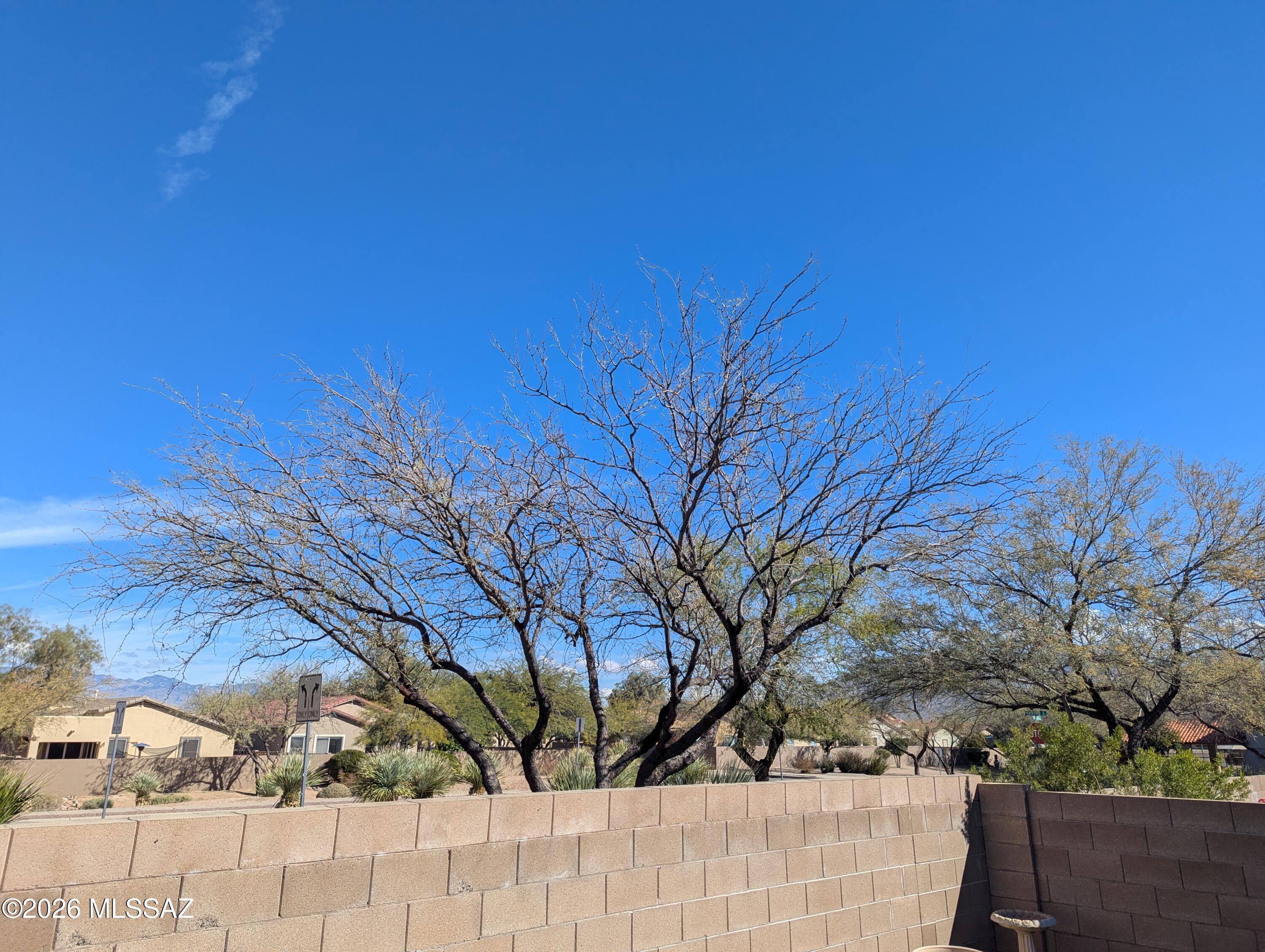 Mesquite Ranch (1-619) - Residential