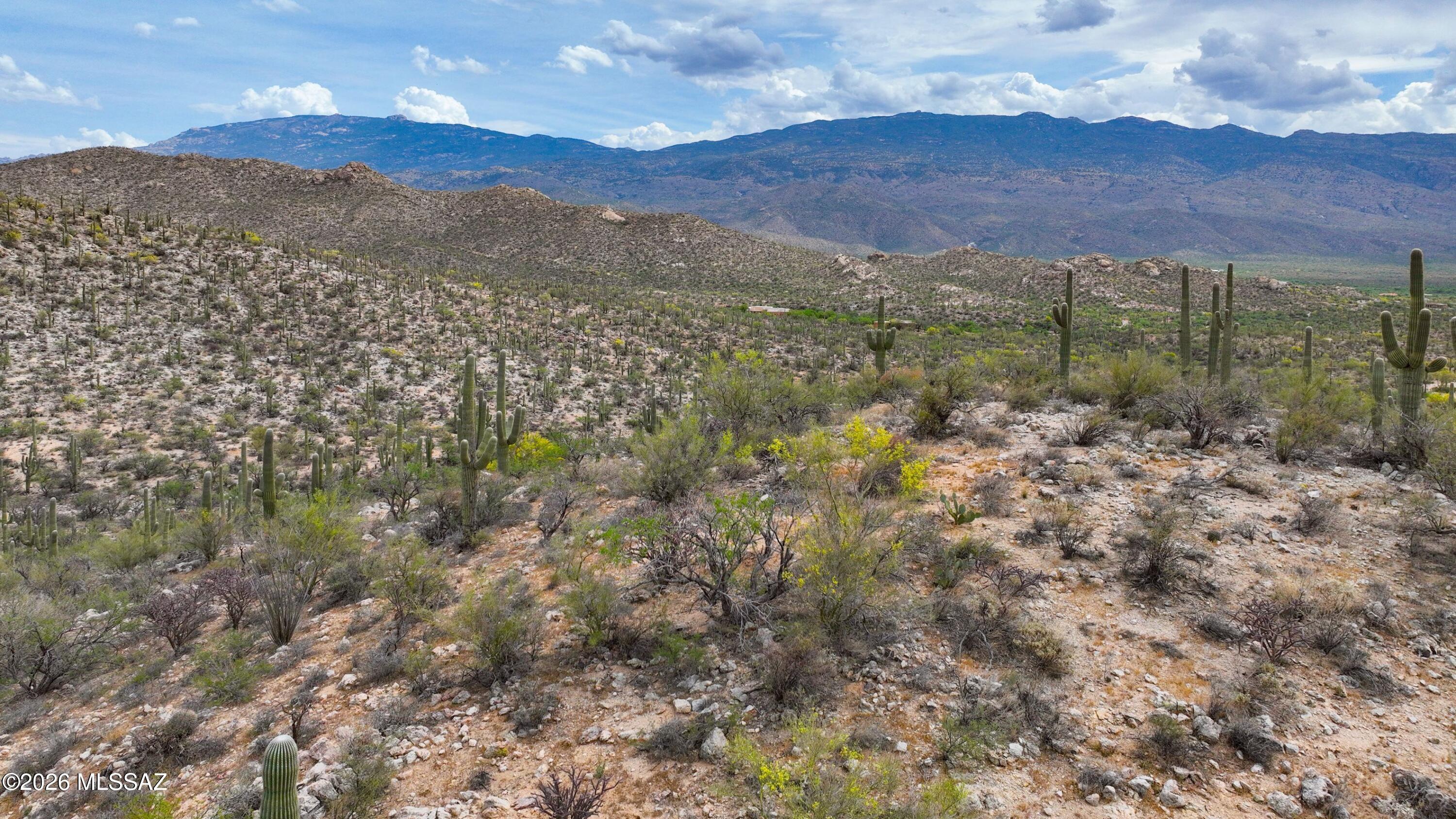 Rinconado Estates (1-13) - Land
