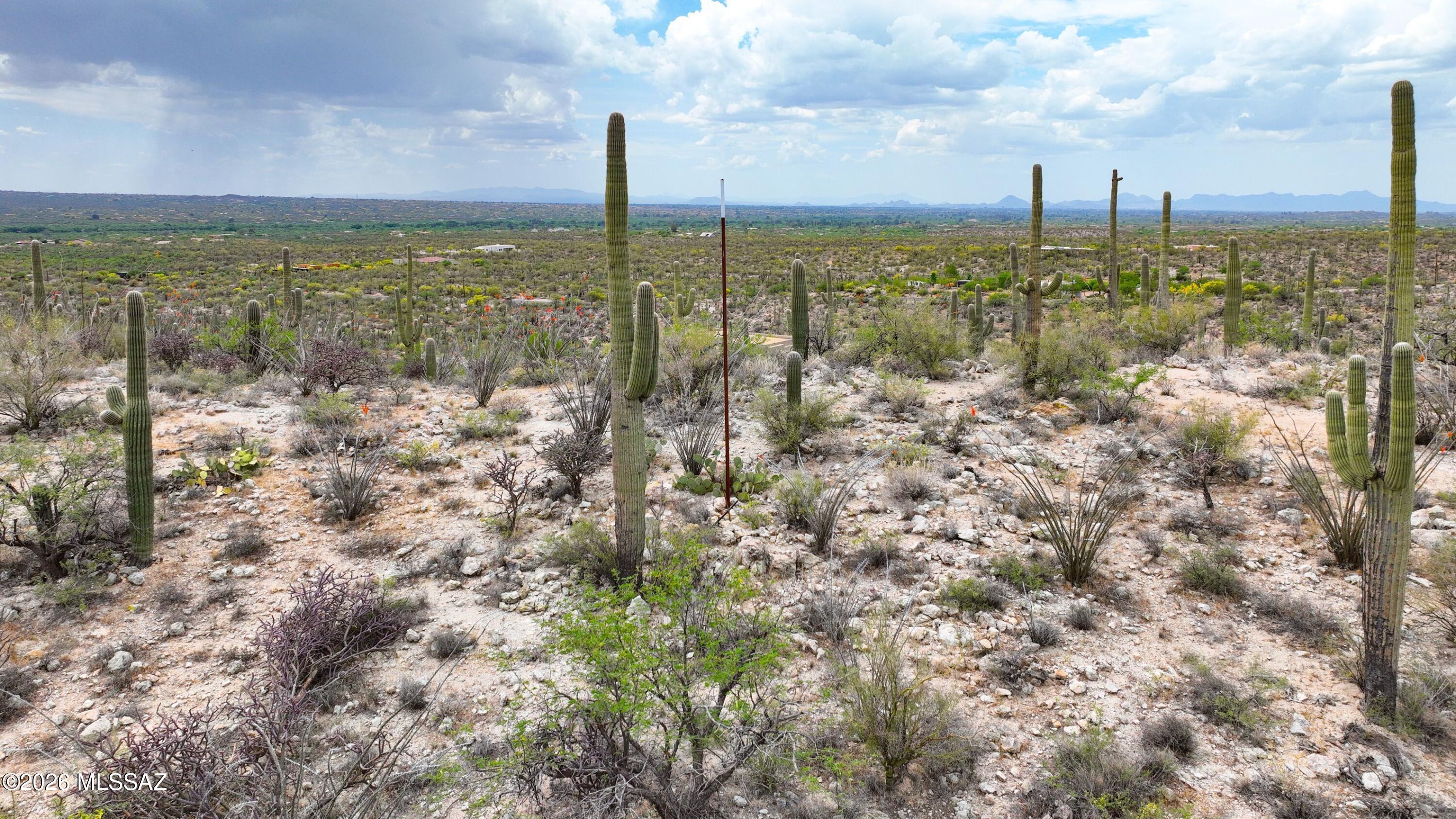 Rinconado Estates (1-13) - Land