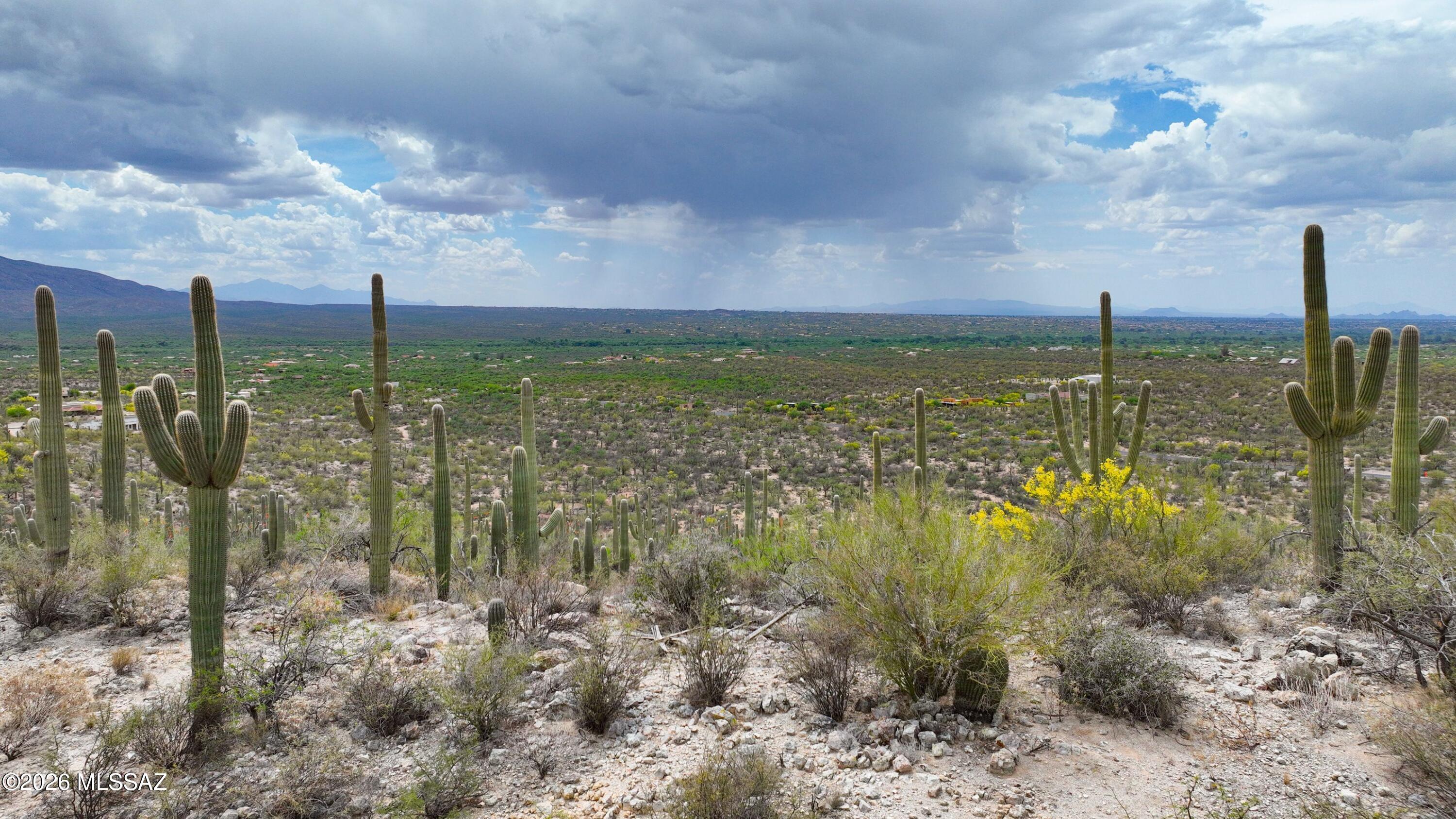 Rinconado Estates (1-13) - Land