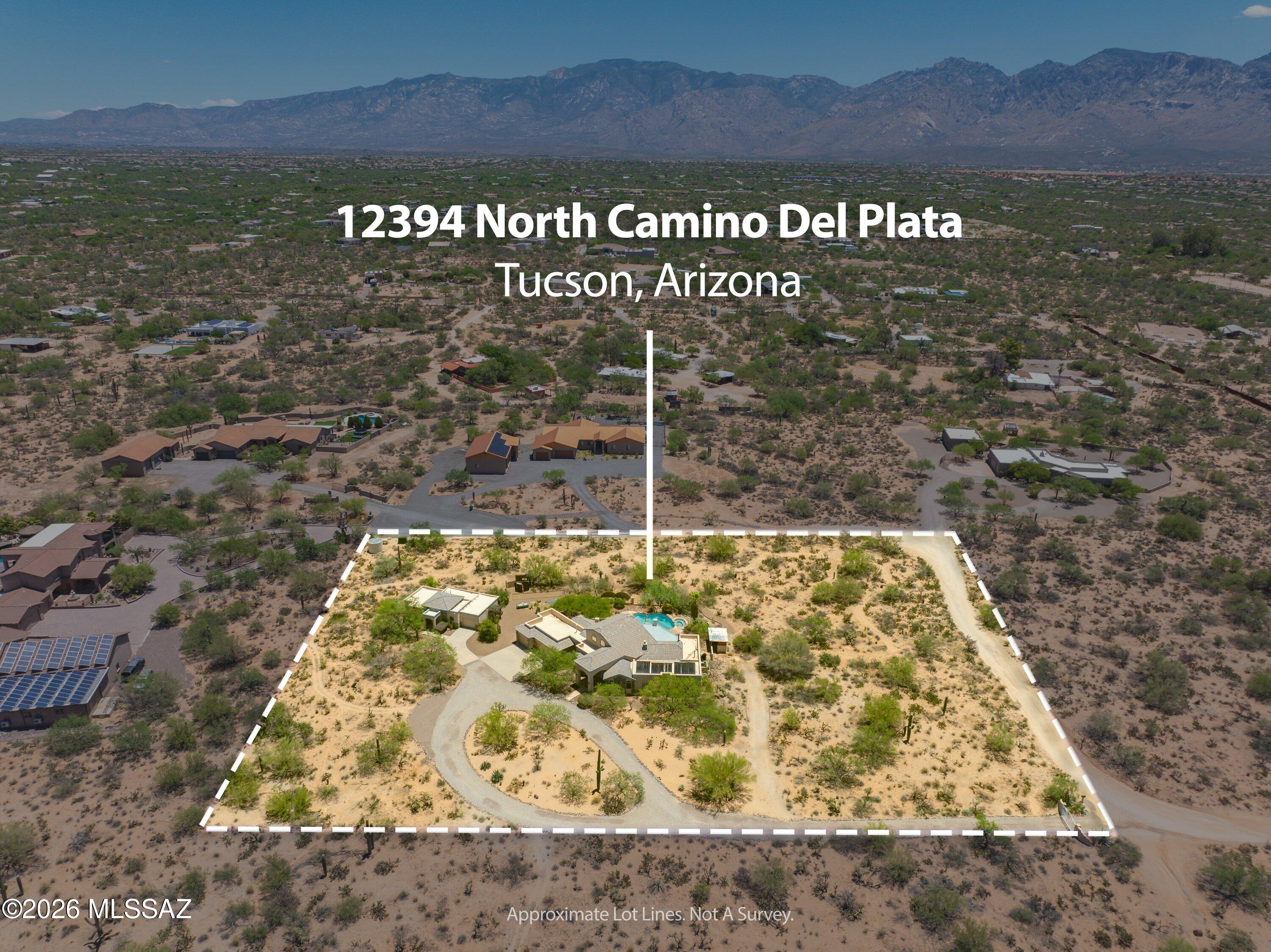 12394 N Camino Del Plata