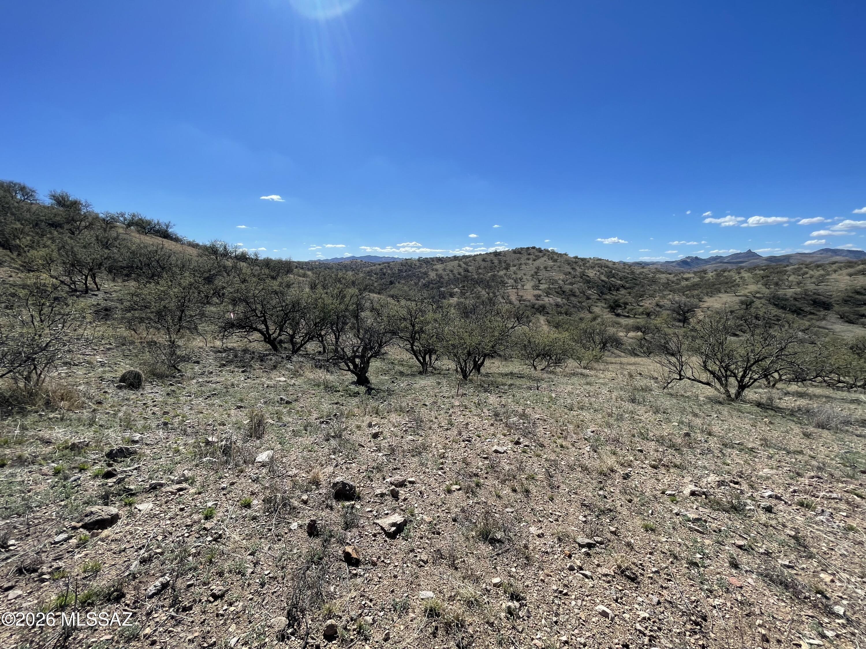 Rio Rico Ranchettes - Land