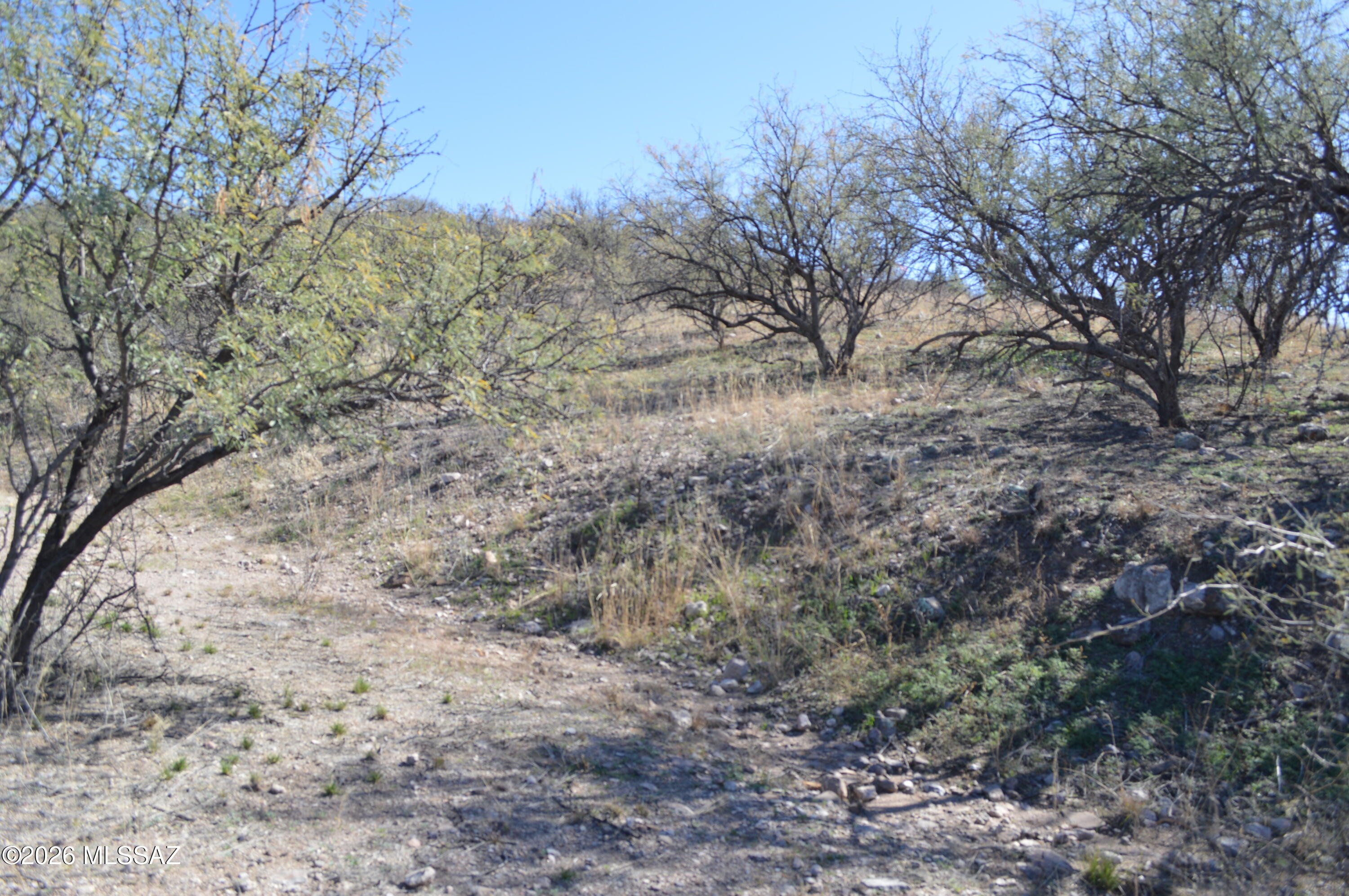 Rio Rico Ranchettes - Land