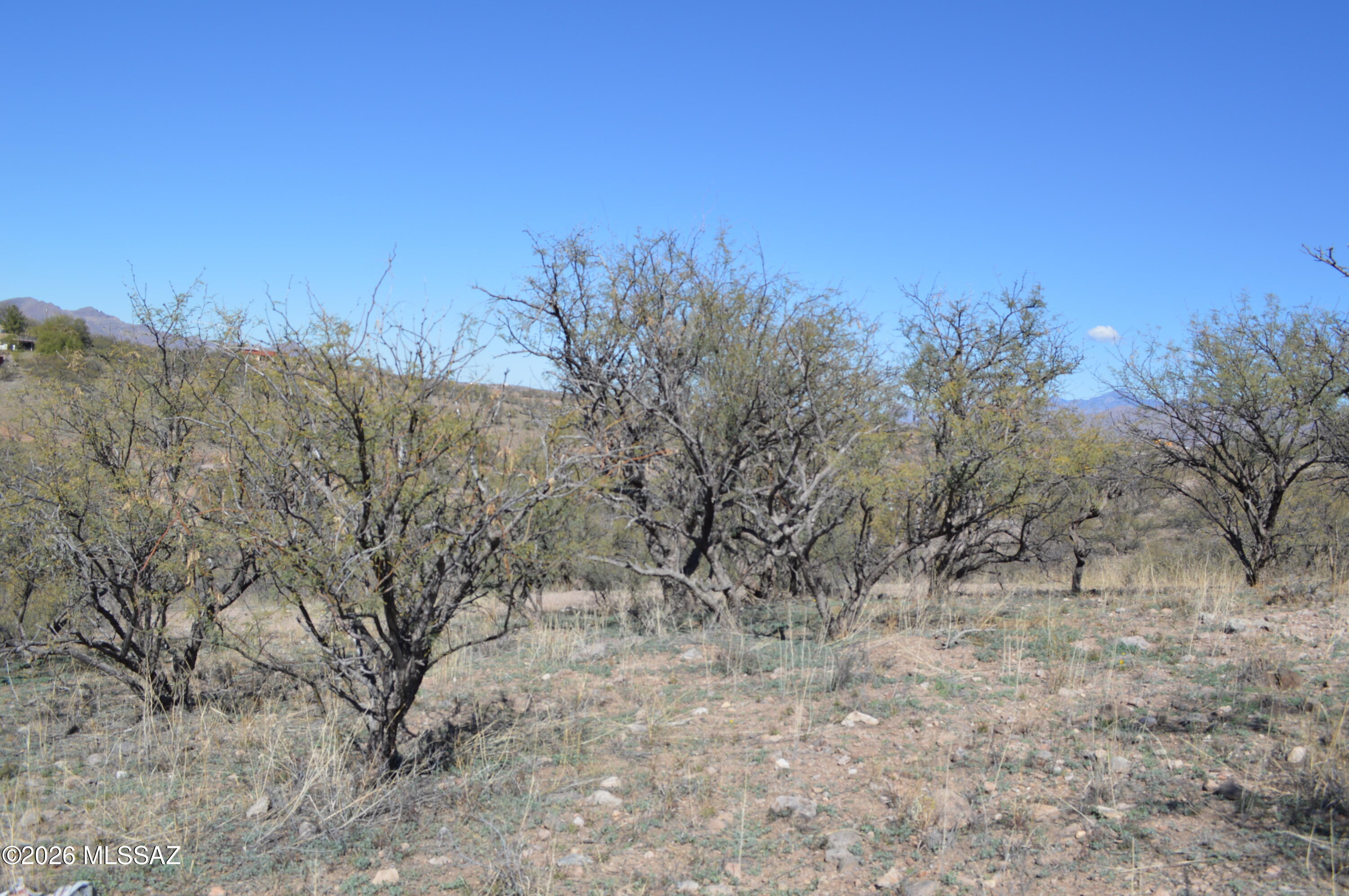 Rio Rico Ranchettes - Land