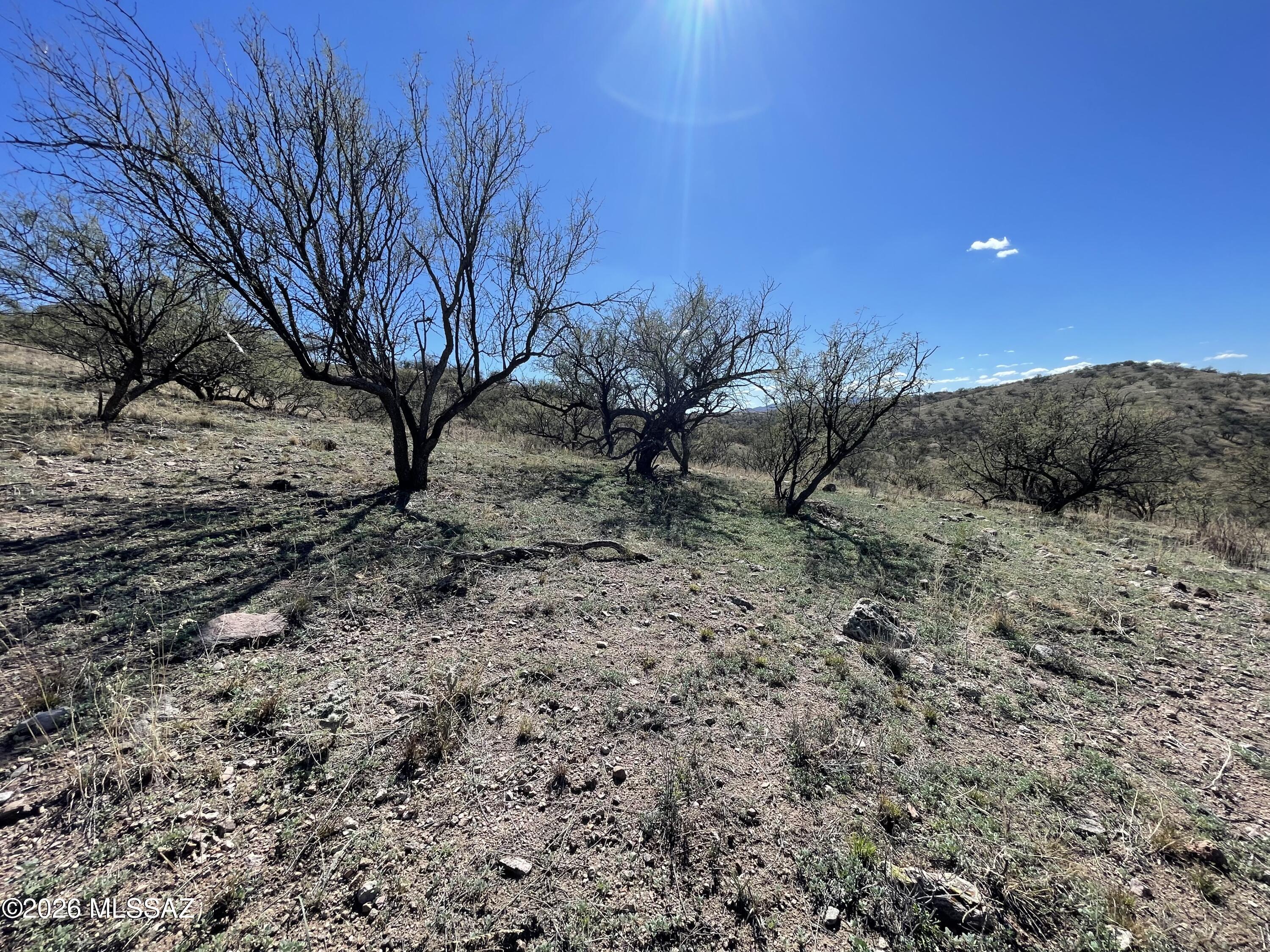 Rio Rico Ranchettes - Land