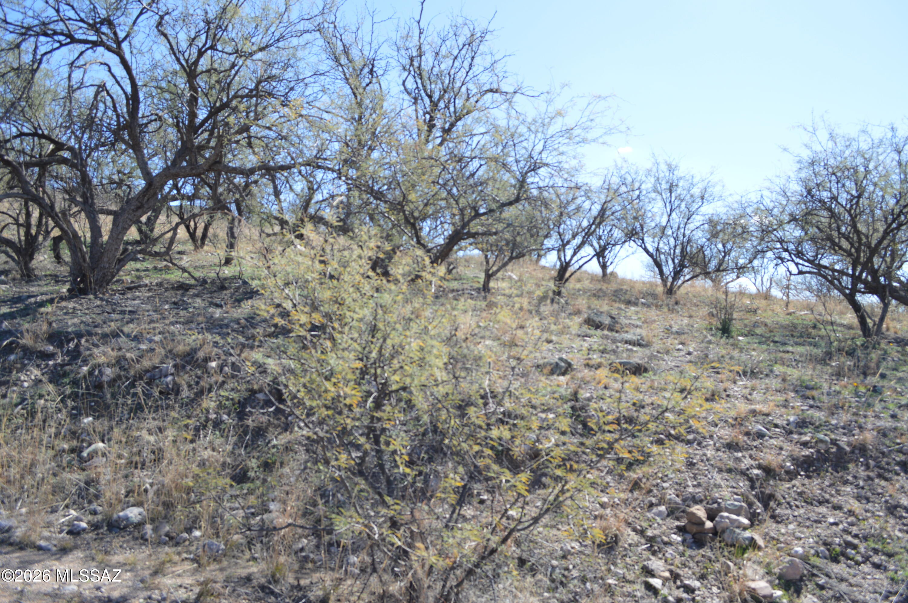 Rio Rico Ranchettes - Land