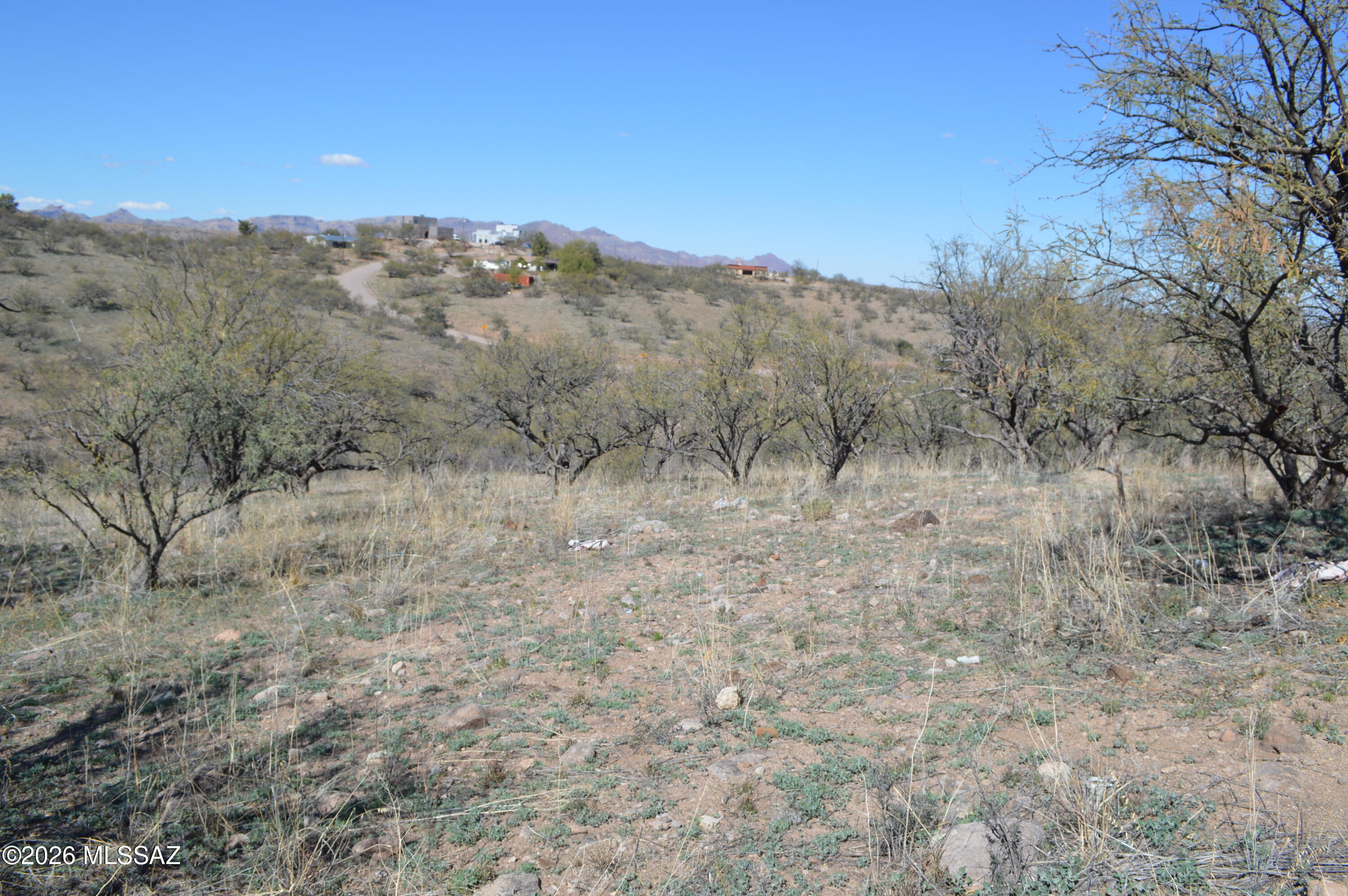 Rio Rico Ranchettes - Land