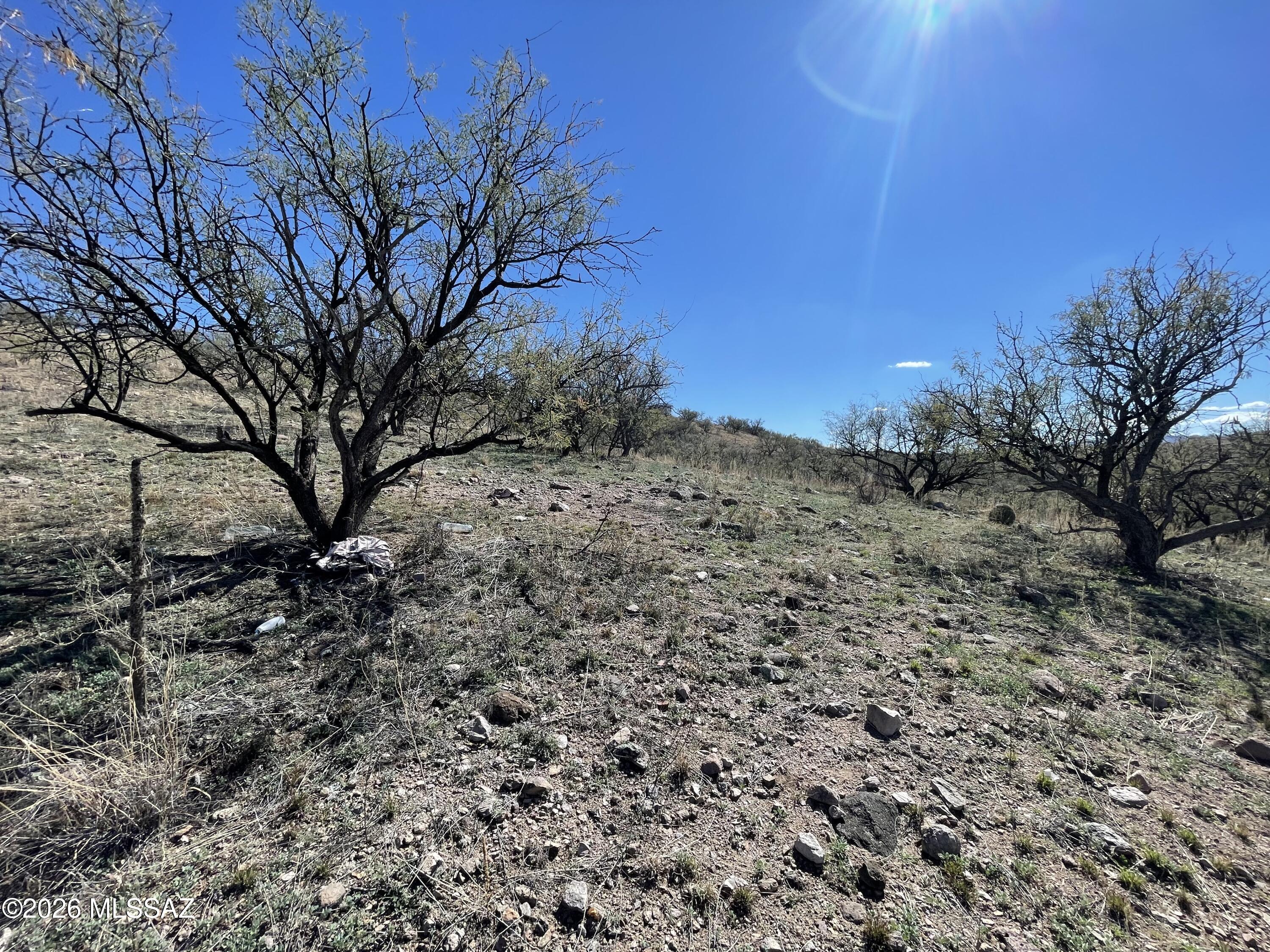 Rio Rico Ranchettes - Land