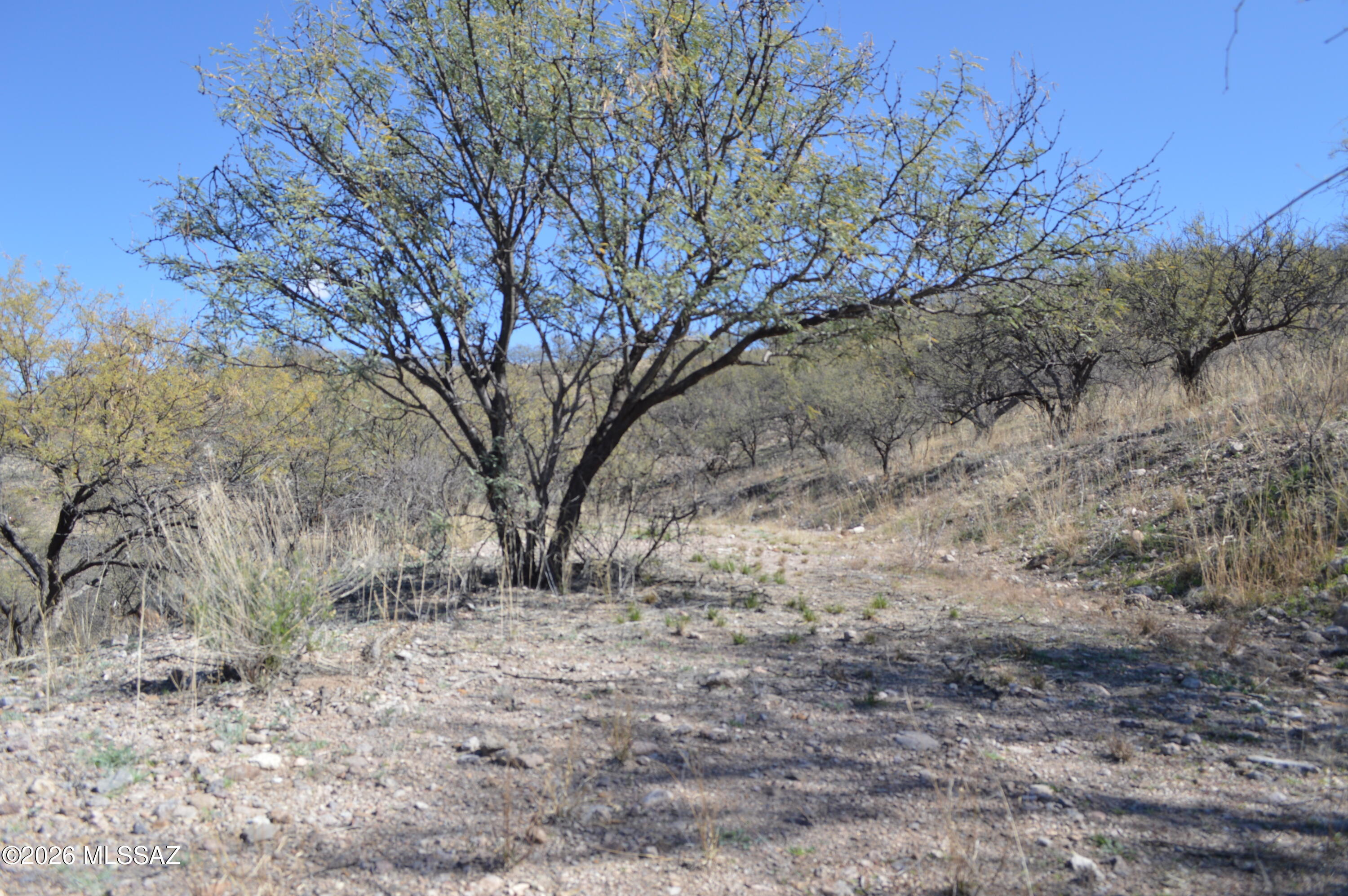 Rio Rico Ranchettes - Land