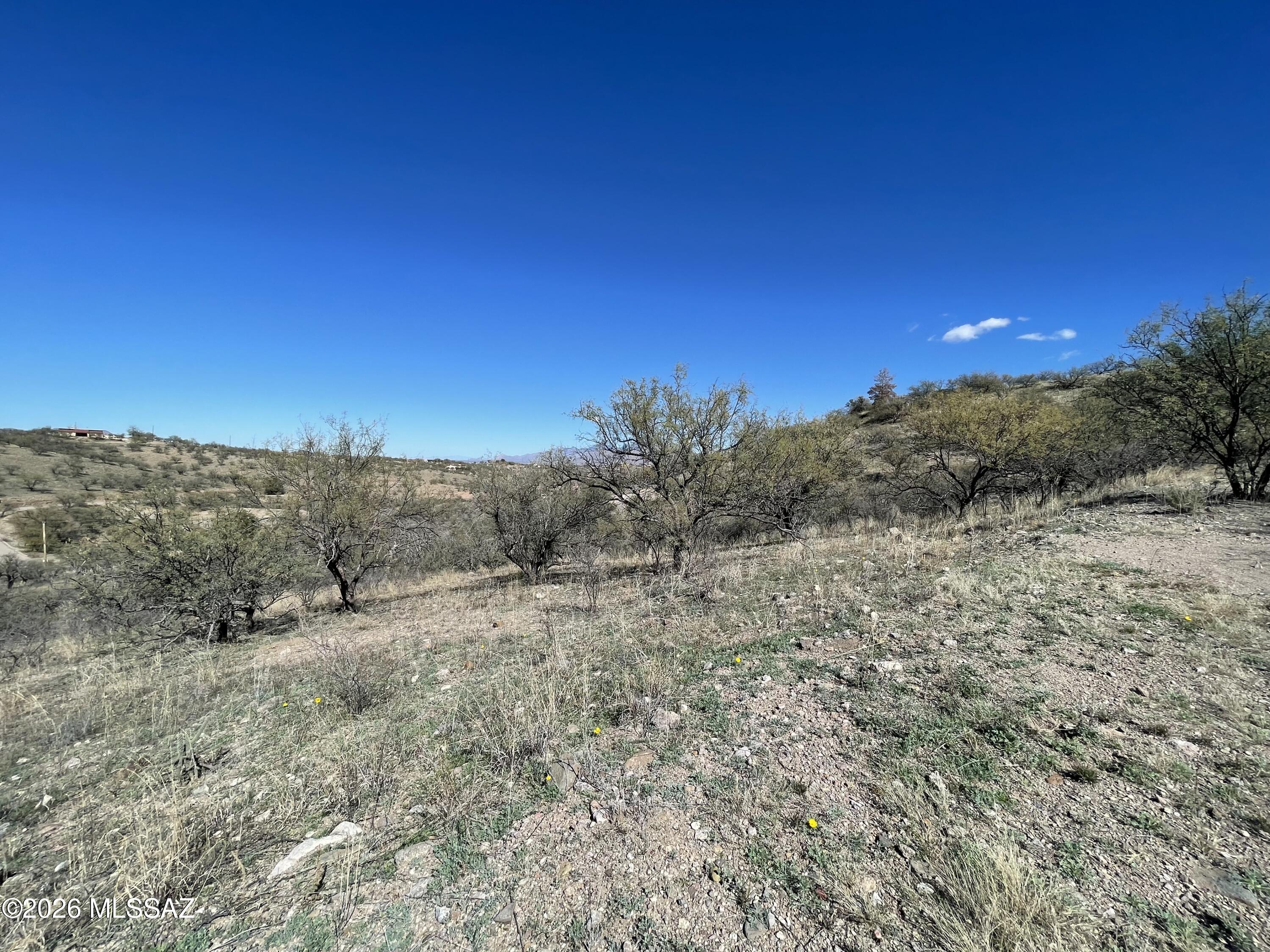 Rio Rico Ranchettes - Land