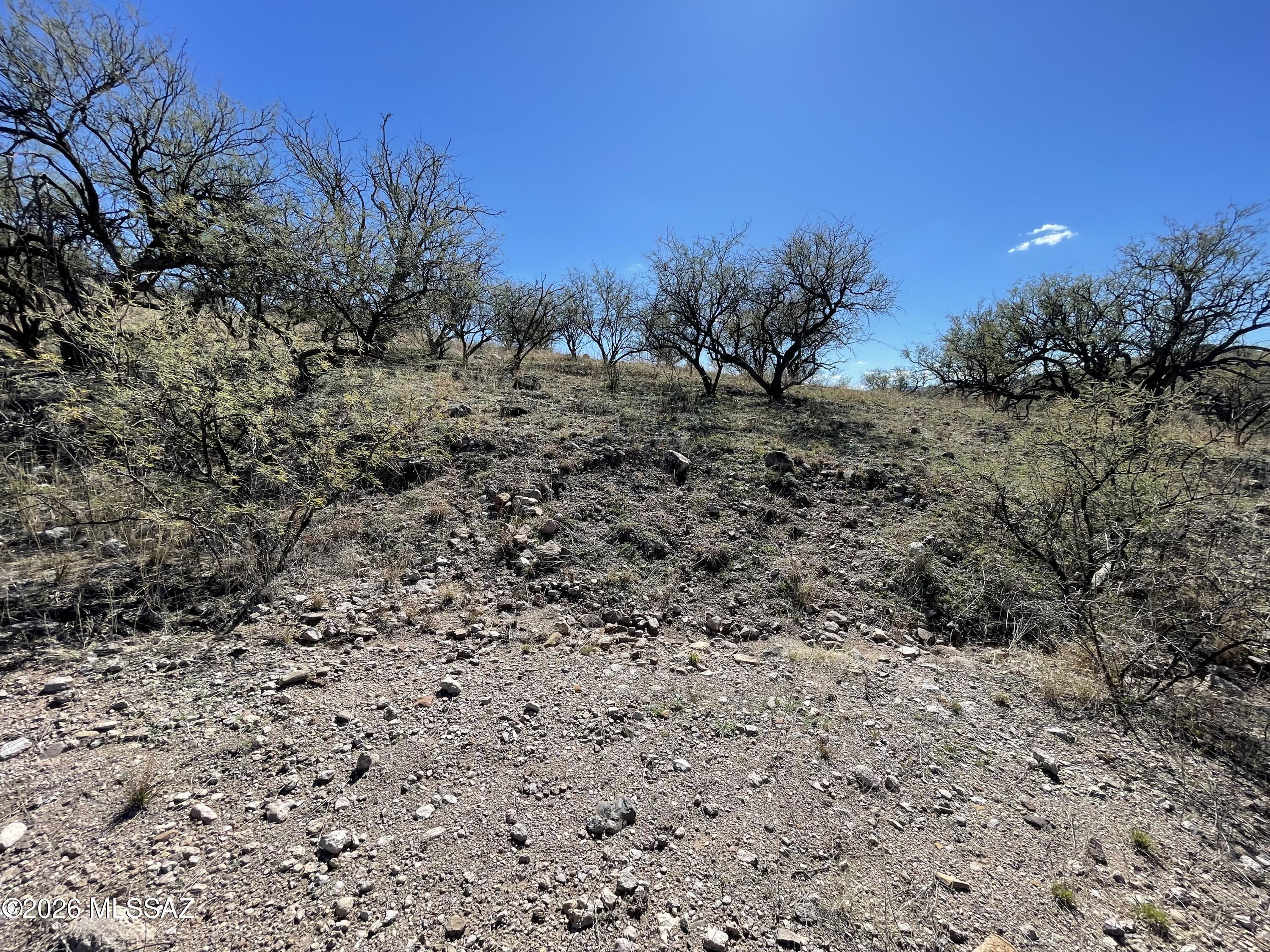 Rio Rico Ranchettes - Land
