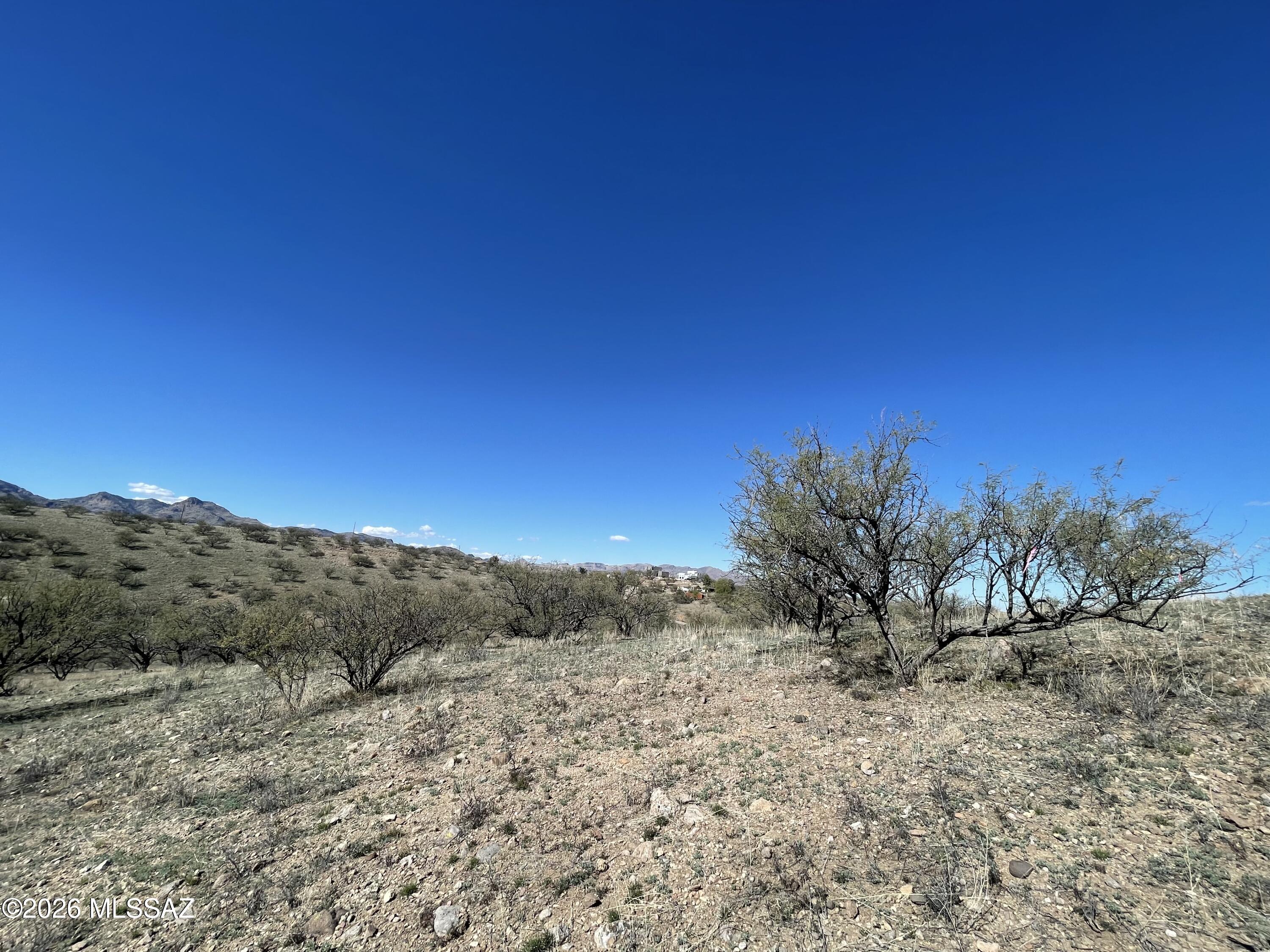 Rio Rico Ranchettes - Land