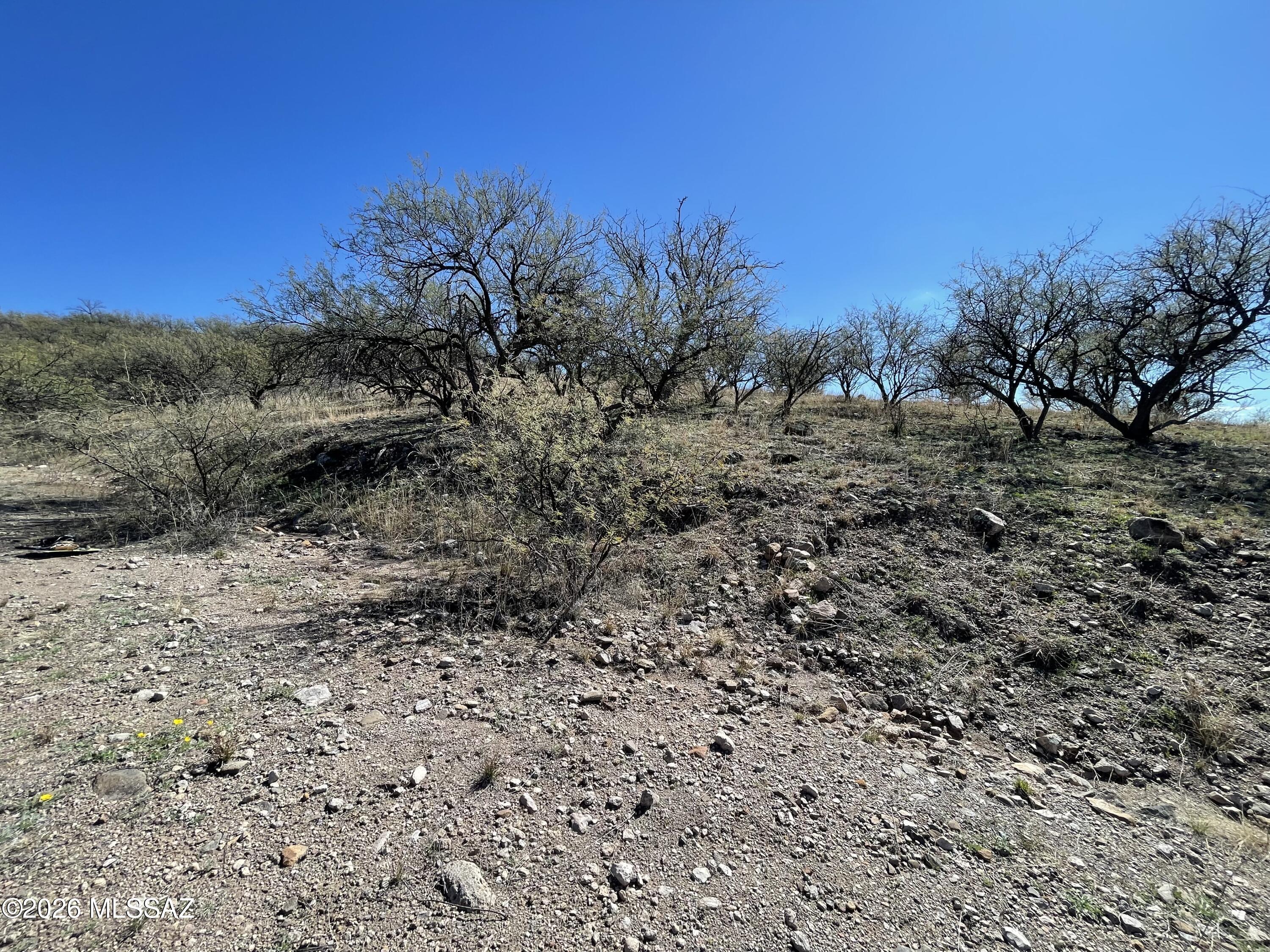Rio Rico Ranchettes - Land