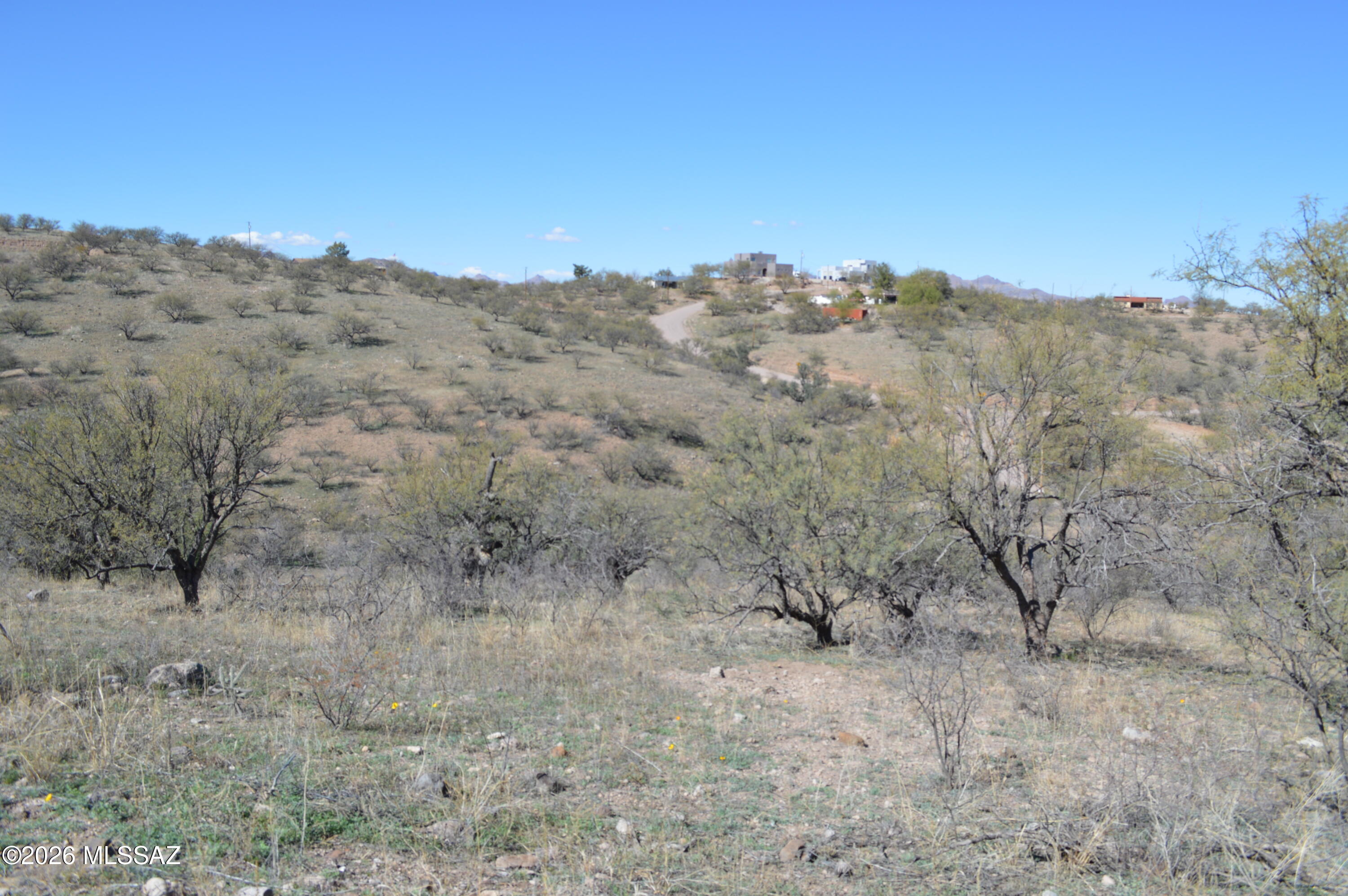 Rio Rico Ranchettes - Land