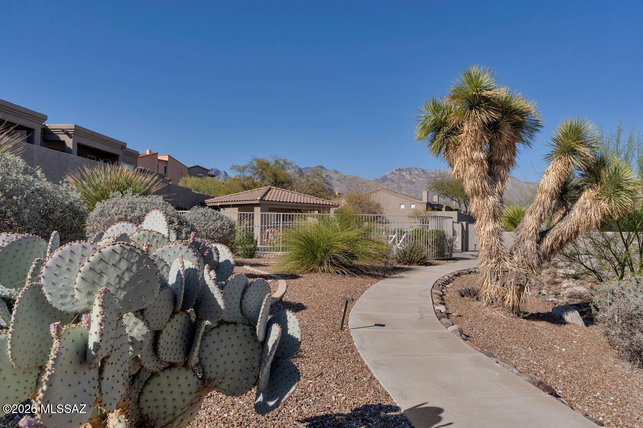 River Park At The Foothills - Residential