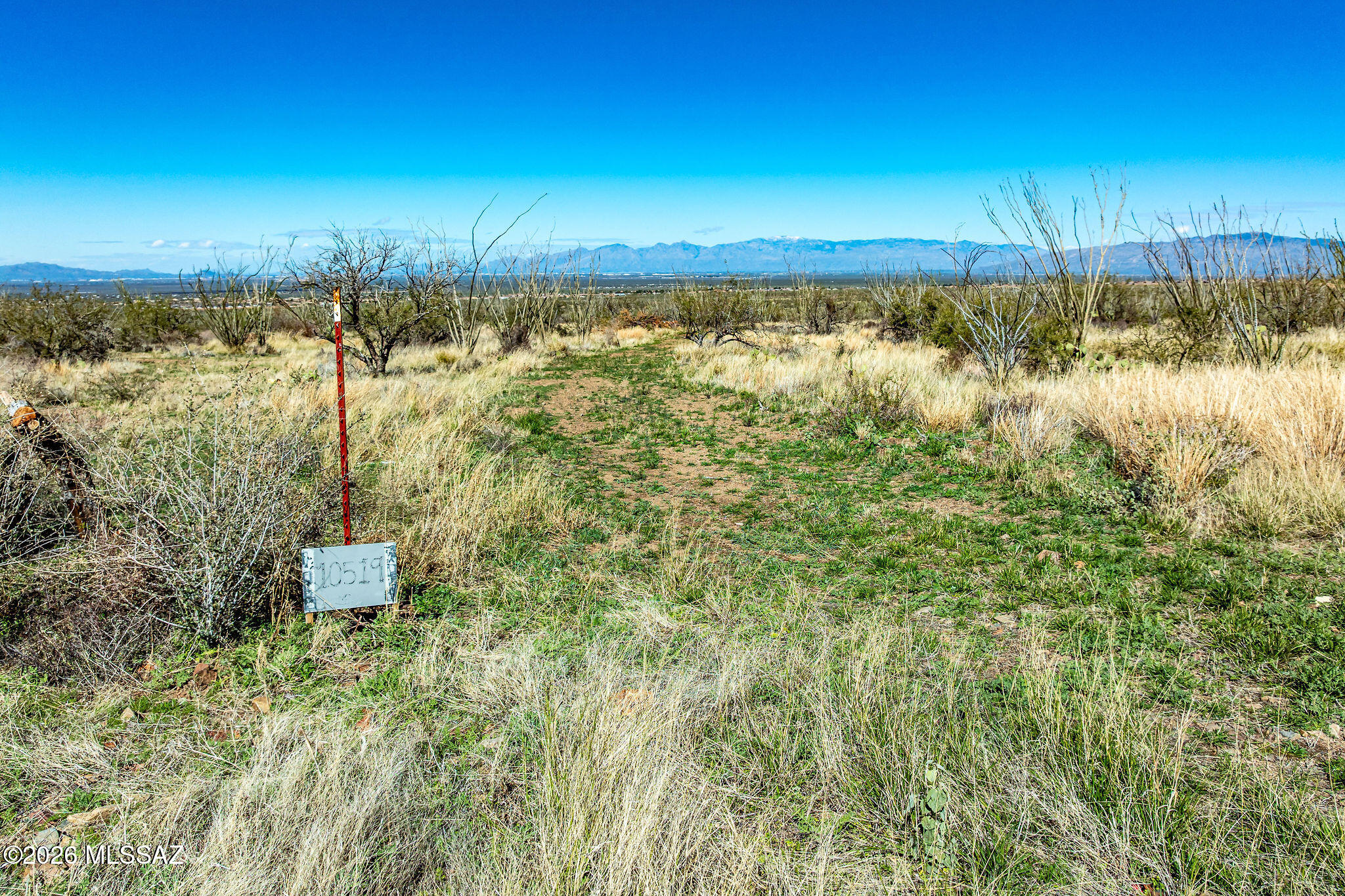 10519 E Ocotillo Rim Trail