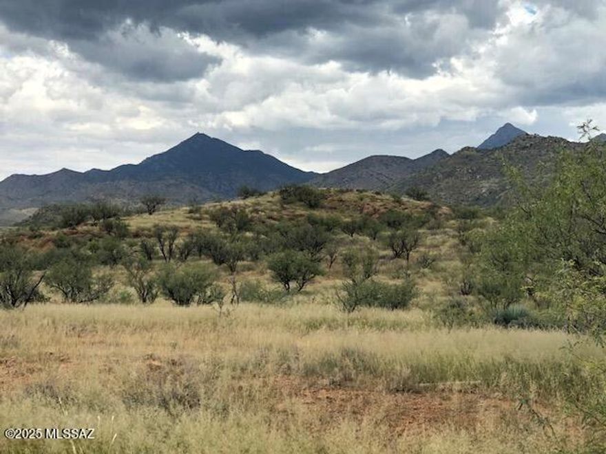 Beautiful 38.75 acre lot with a level building homesite that is waiting for your custom home! Fantastic views of the Santa Rita mountains and is also tucked away near the Grosvenor hills. Enjoy wonderful hikes, go horseback riding or explore the nearby ghost town. This lot is a short distance to the Coronado National Forest, has easy access and has underground power located at the edge of the property. This exclusive gated community of 36+ acre homesites is situated between Tubac and Patagonia. It is surrounded by the lush foothills of the Santa Rita Mountains to the north and the Grosvenor Hills to the south. You will find spectacular estate homes and an emphasis on the region's best-preserved natural beauty. Please call today for more information and to schedule your private showing.
