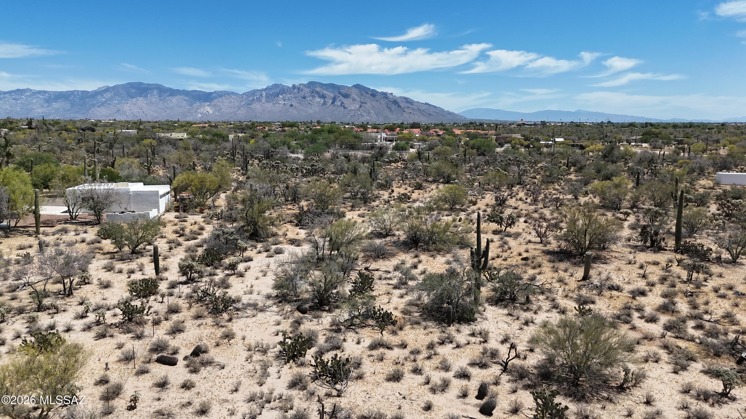 9888 N Carolanne Drive