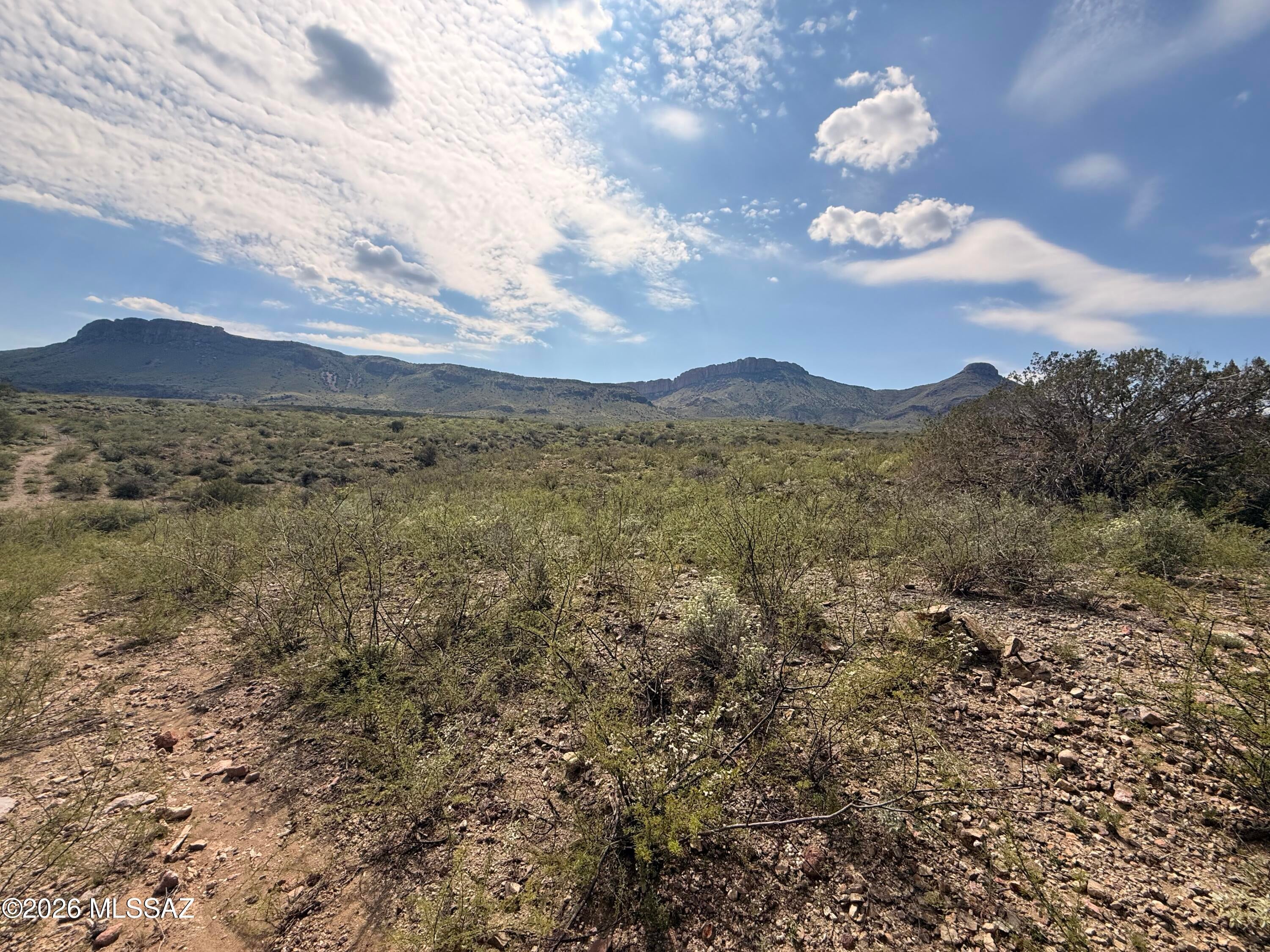 40 ac E Wildcat Road 141