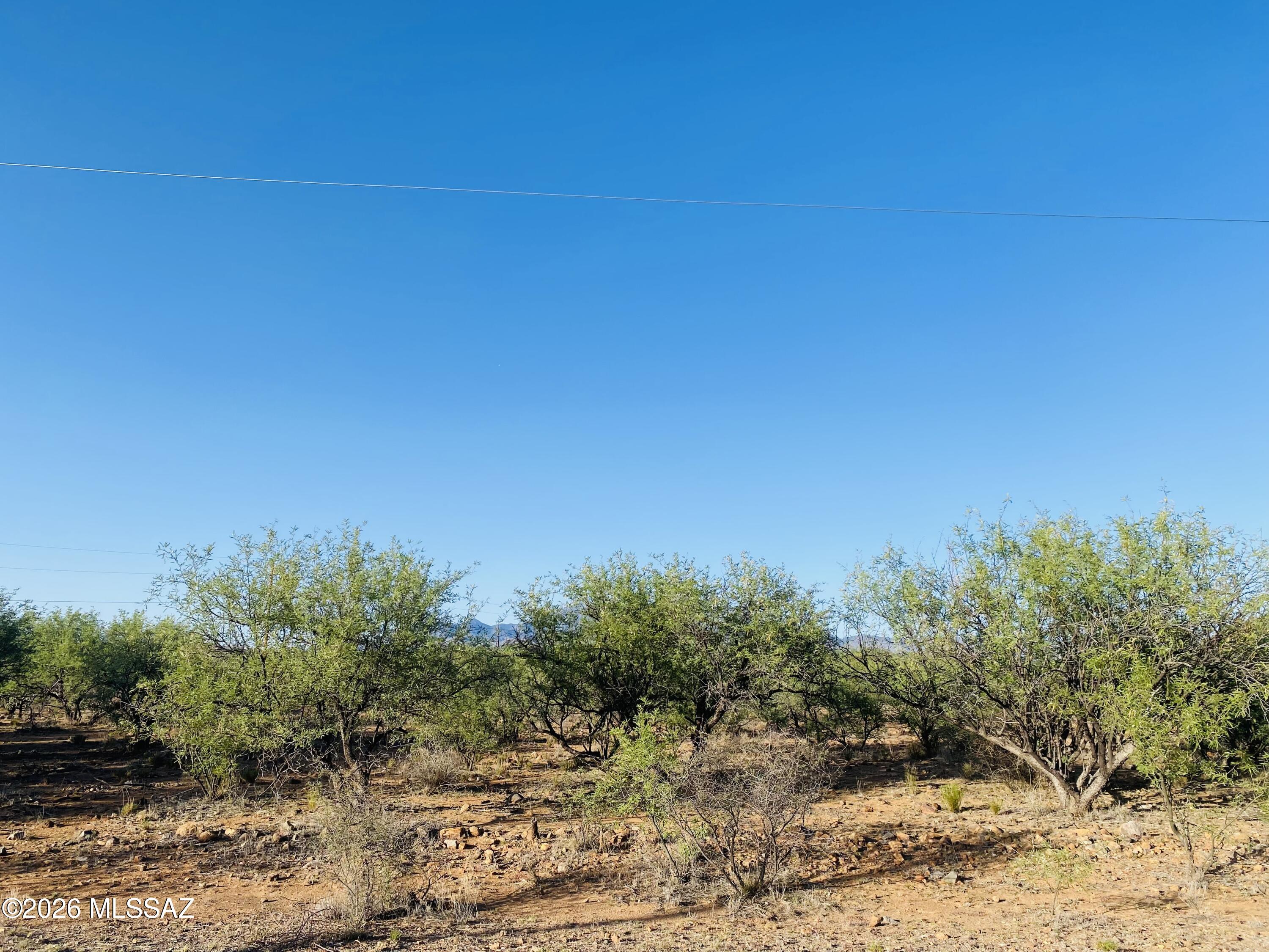 Rio Rico Estates 16 - Land