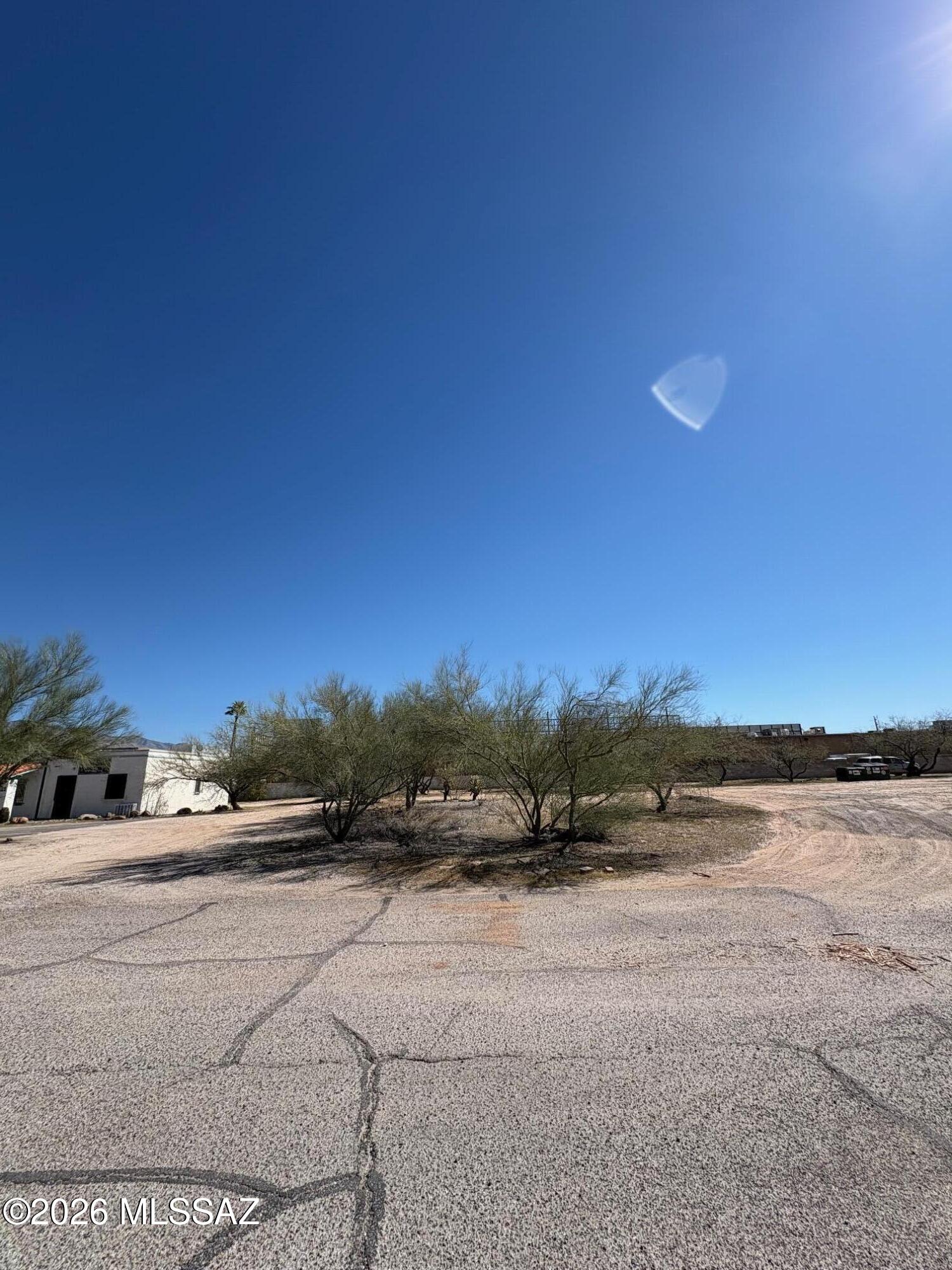 513 W Wetmore Road 9