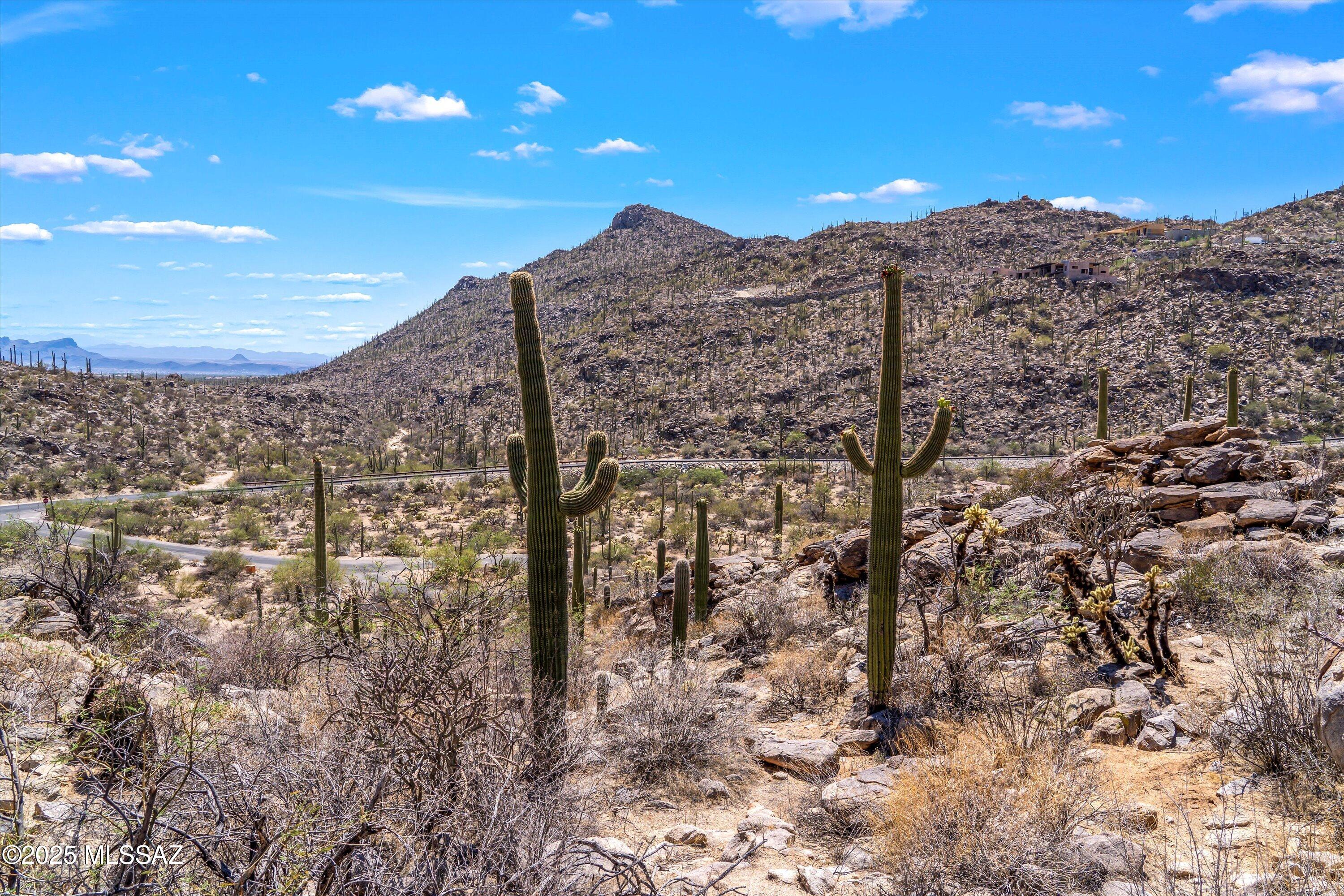Saguaro Ranch (9-52) Blks. 1-4 - Land