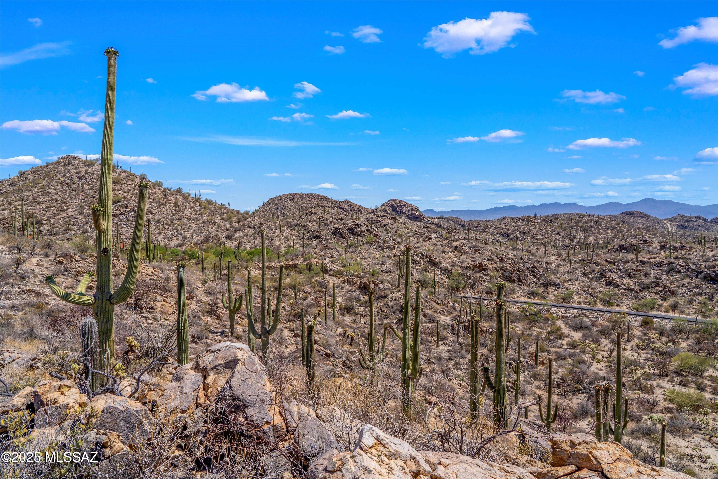 Saguaro Ranch (9-52) Blks. 1-4 - Land