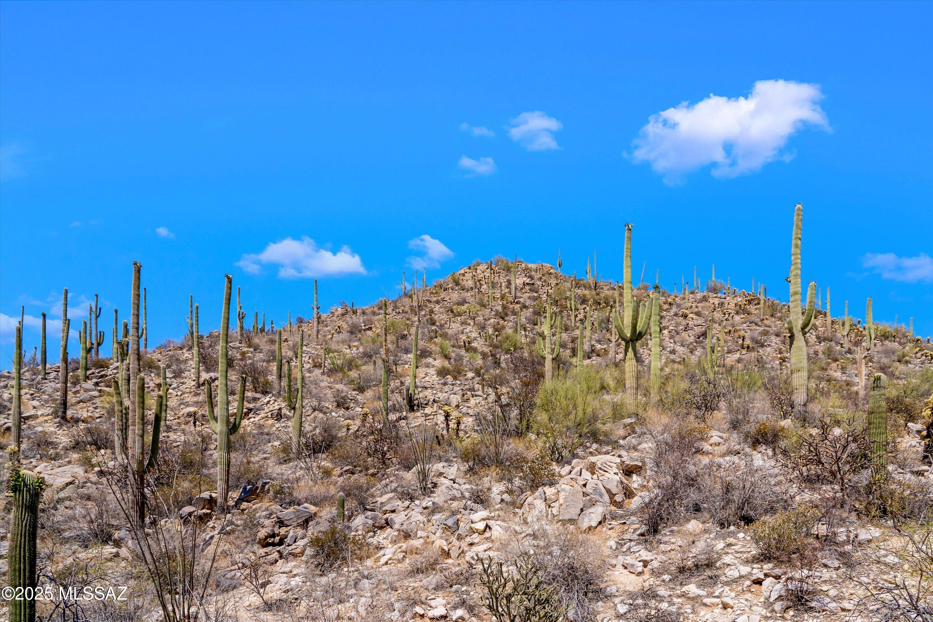 Saguaro Ranch (9-52) Blks. 1-4 - Land